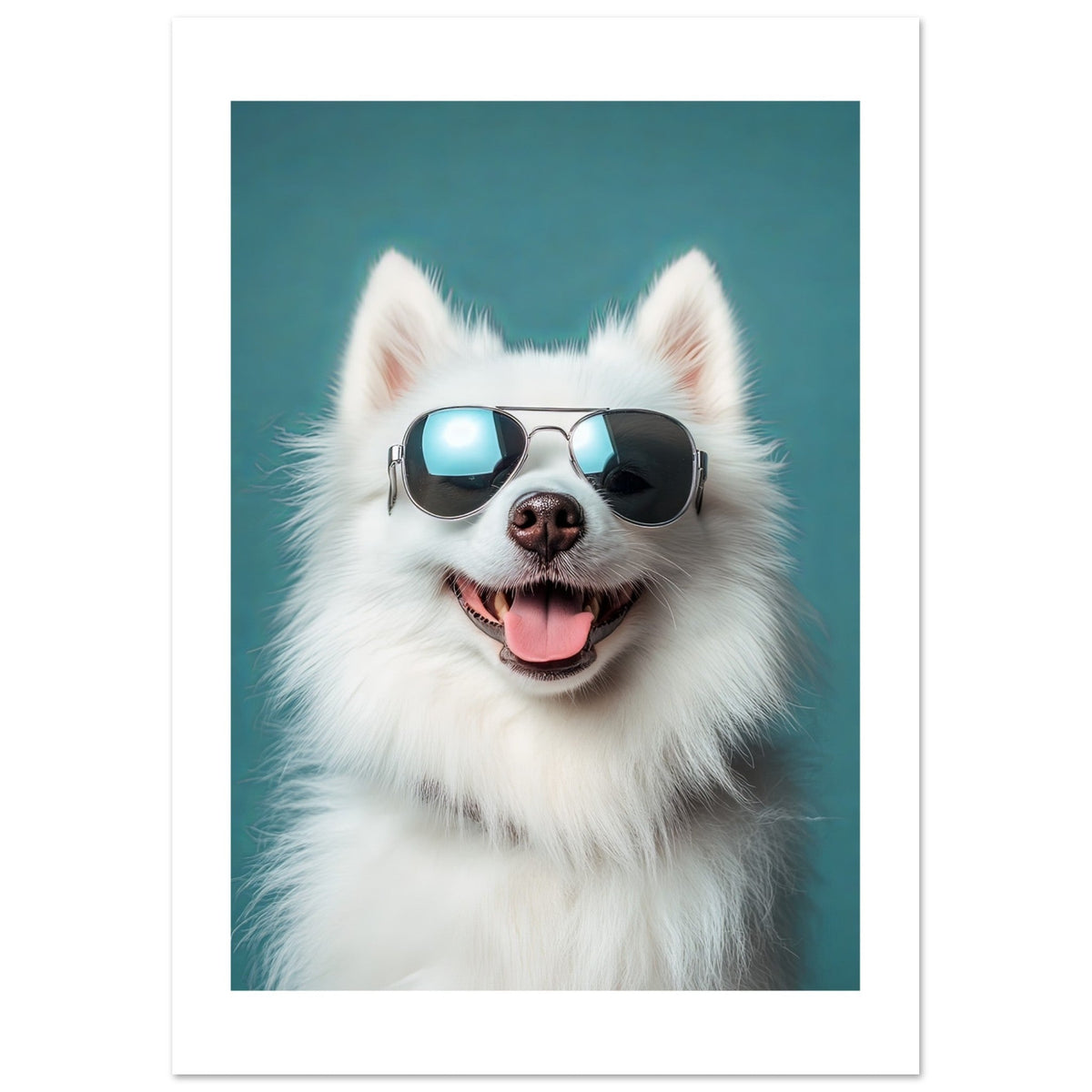 American Eskimo Dog Wearing Pilot Sunglasses