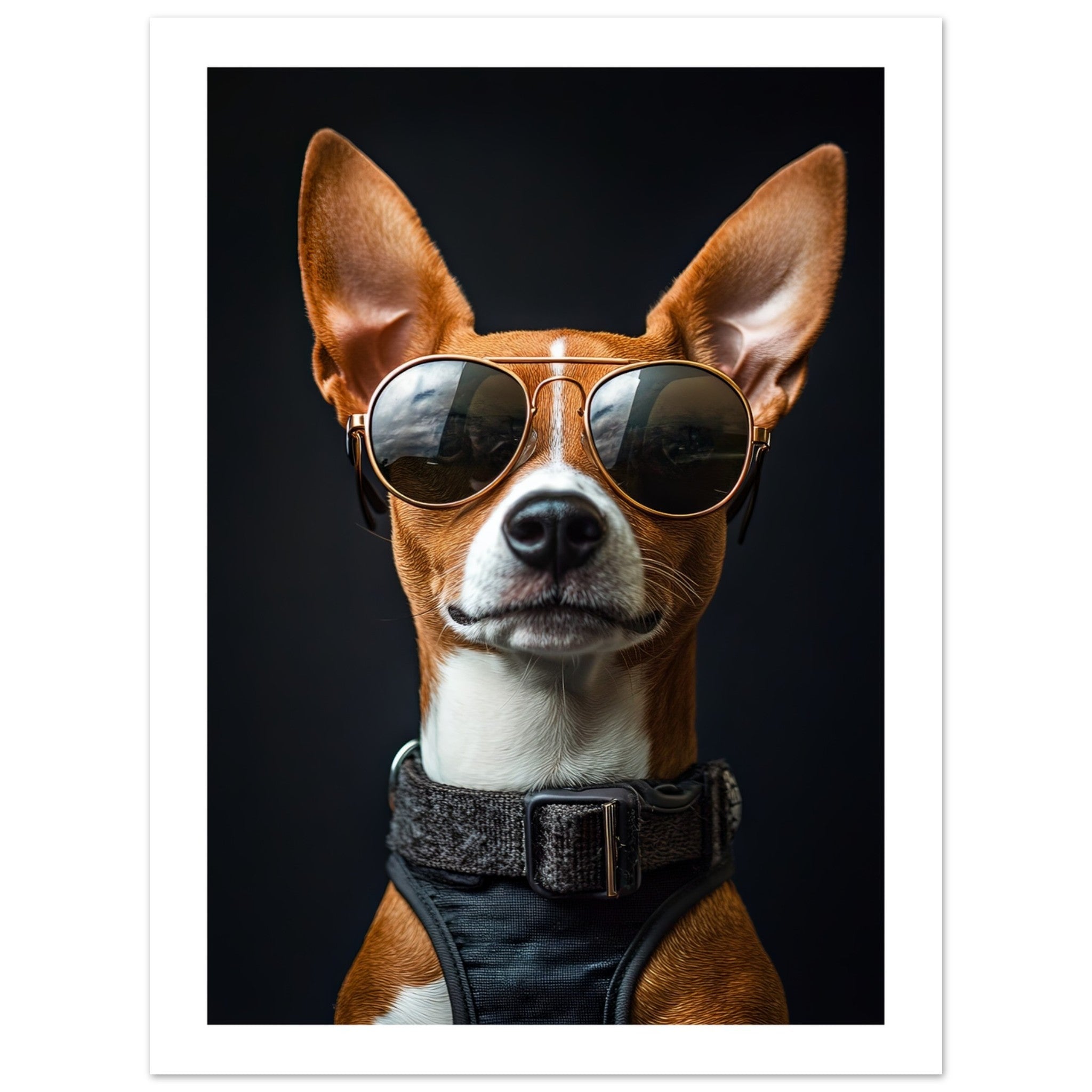 Basenji Dog Wearing Pilot Sunglasses