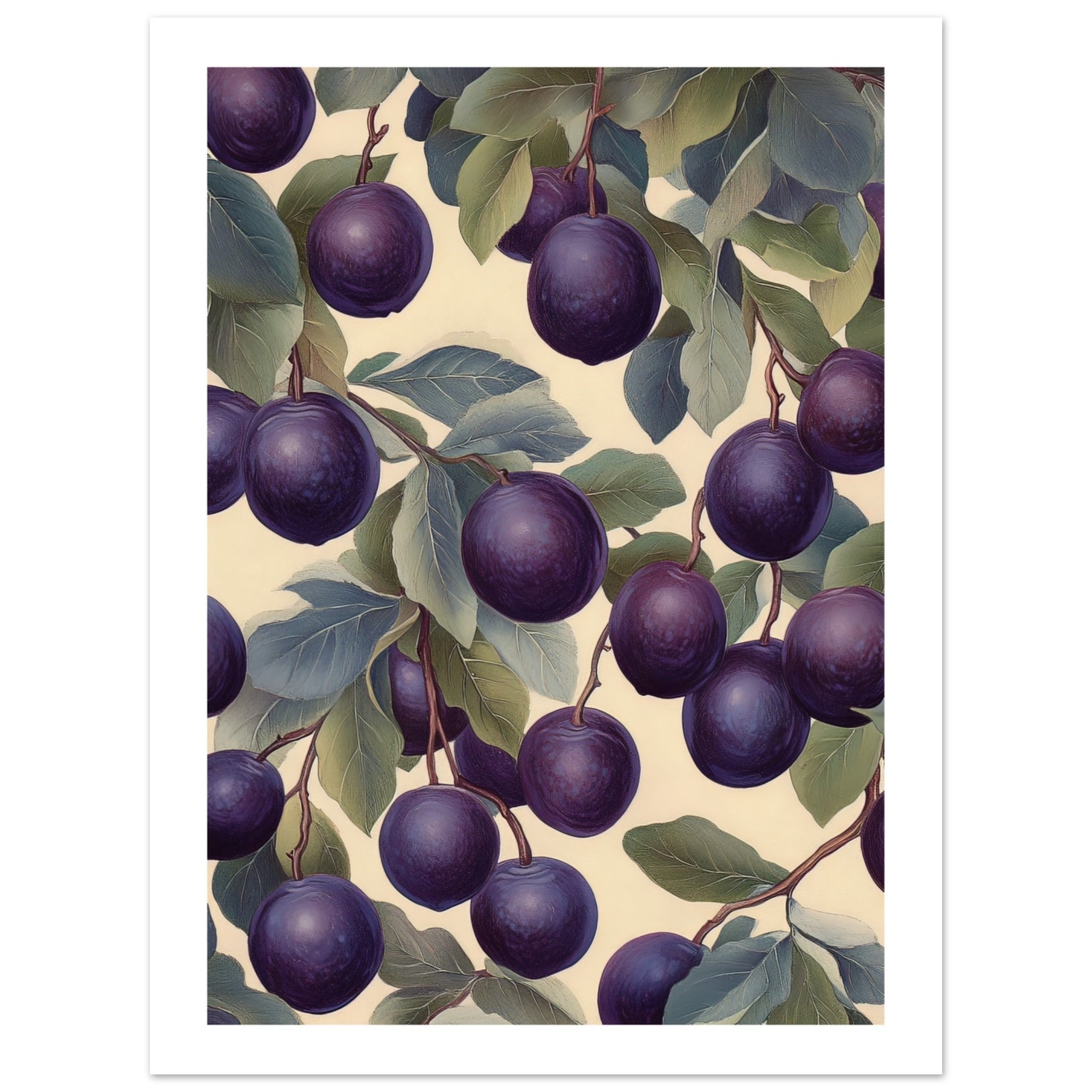 A pattern of Plums 1