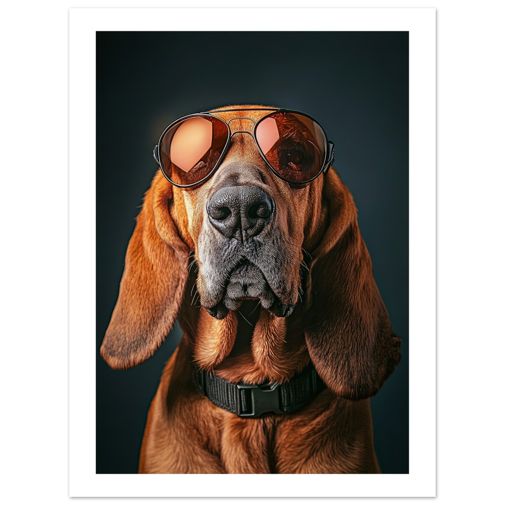 Bloodhound Dog Wearing Pilot Sunglasses
