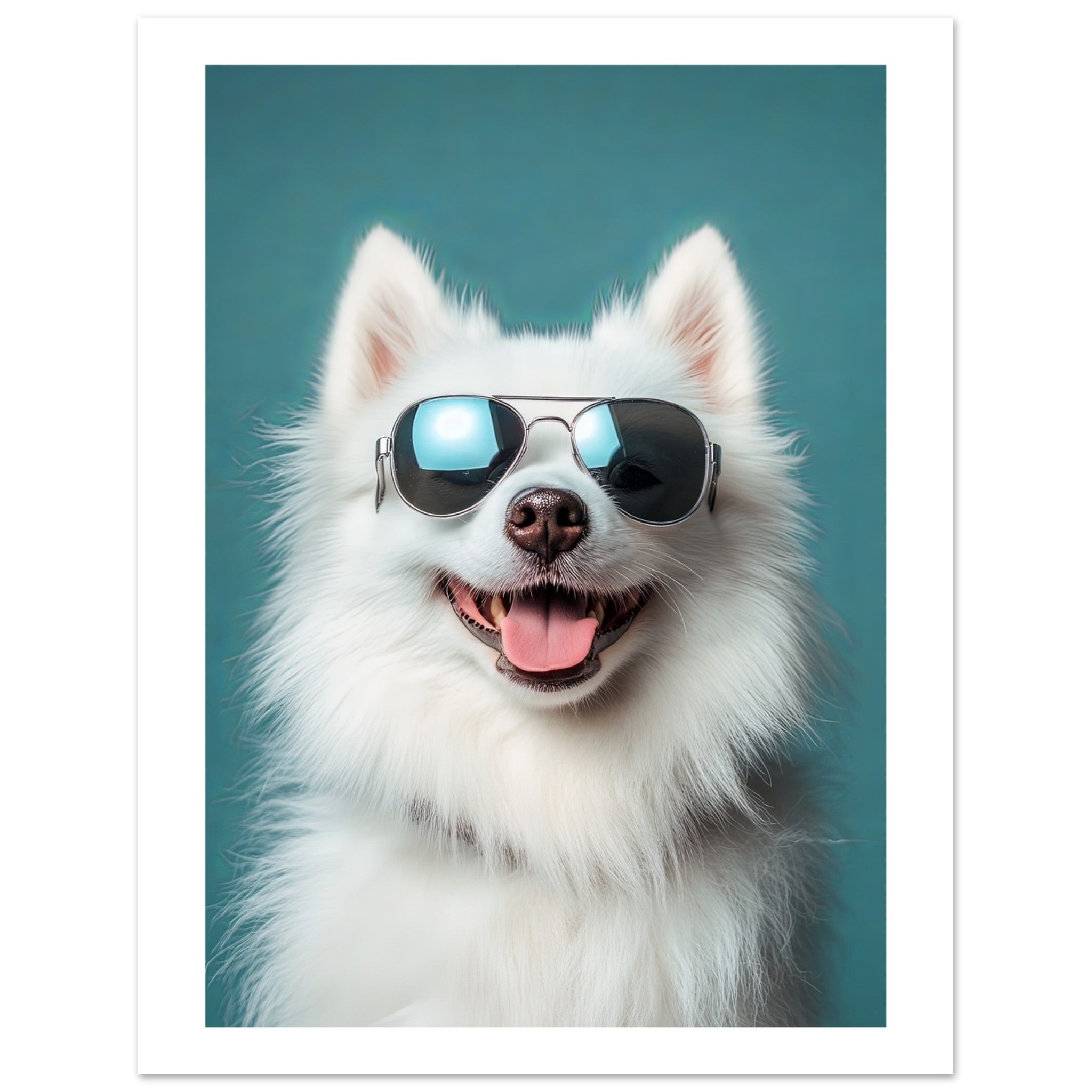 American Eskimo Dog Wearing Pilot Sunglasses