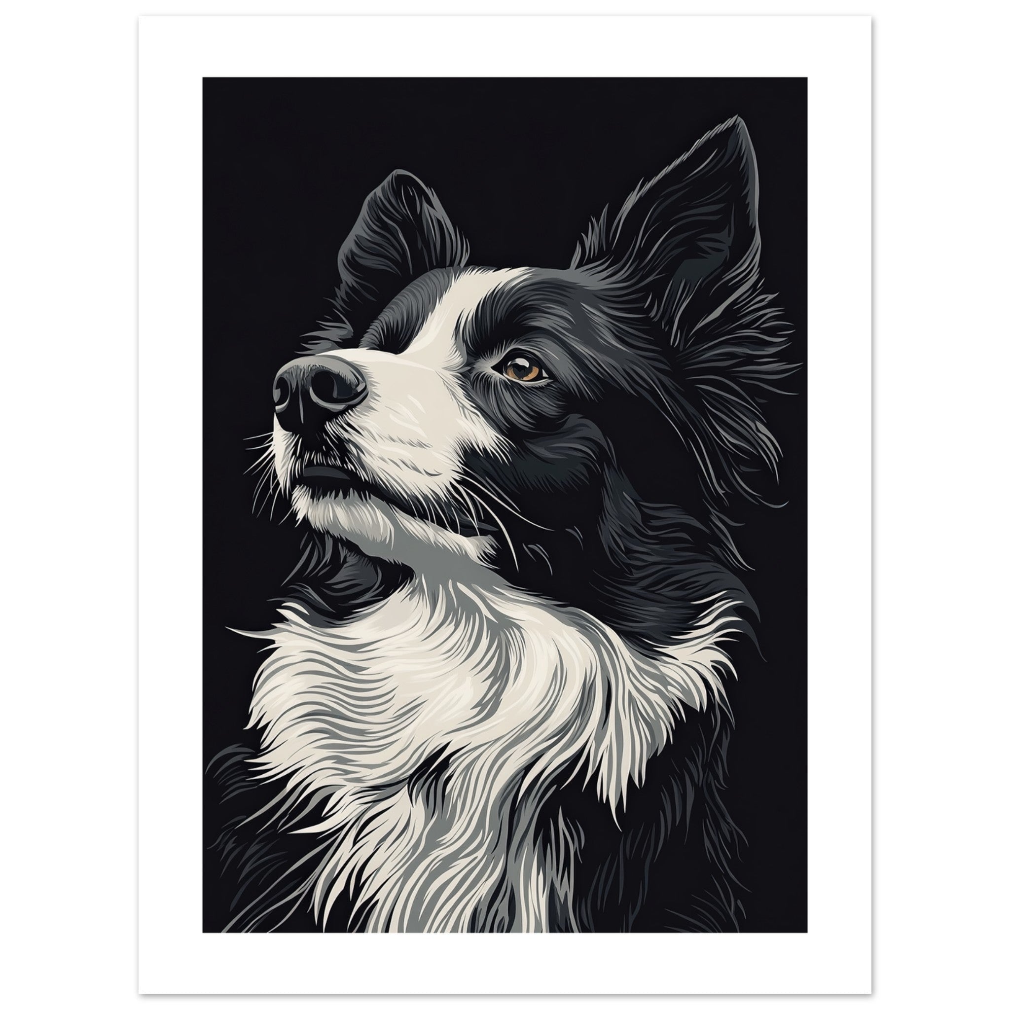 Border Collie Poster / Border Collie Art Work / Border Collie Print