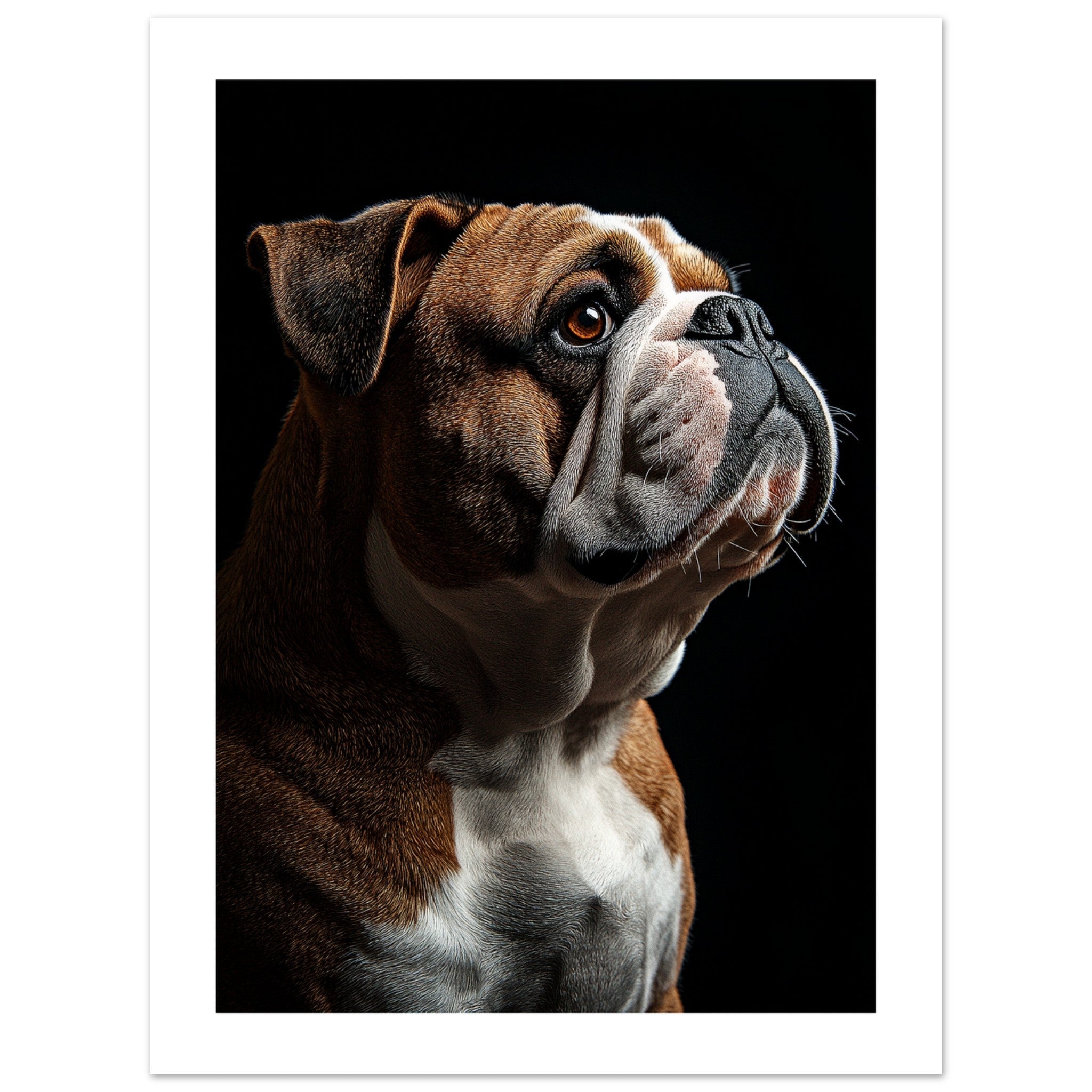 Bulldog Poster / Bulldog Art Work / Bulldog Print