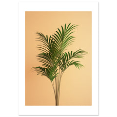 Areca Palm Dypsis lutescens 1