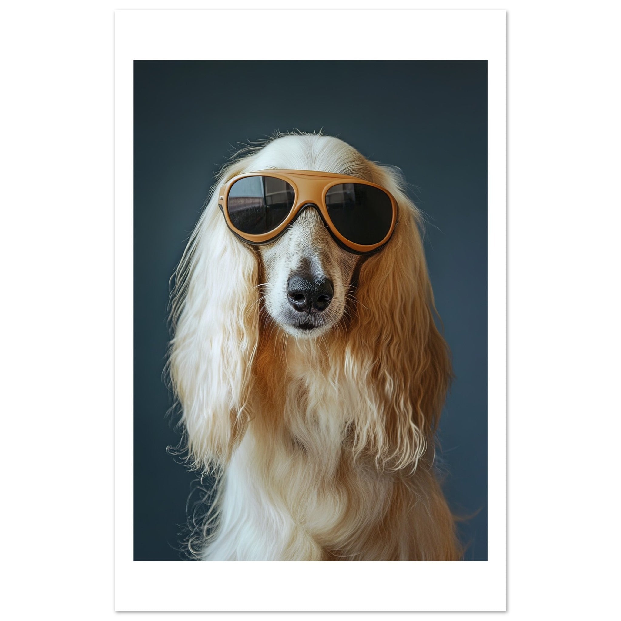 Afghan Hound Dog Wearing Pilot Sunglasses
