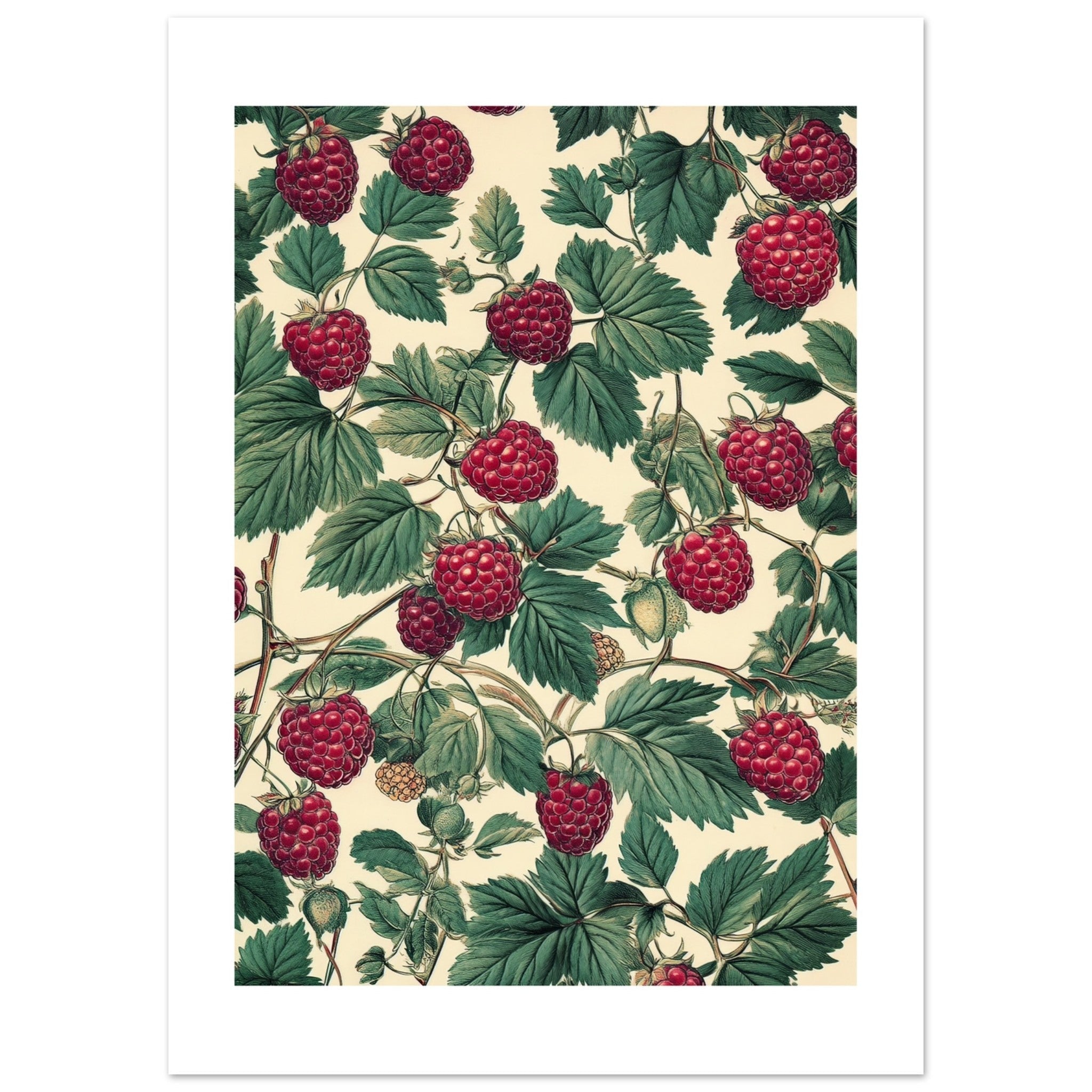 A pattern of Rasberries 1