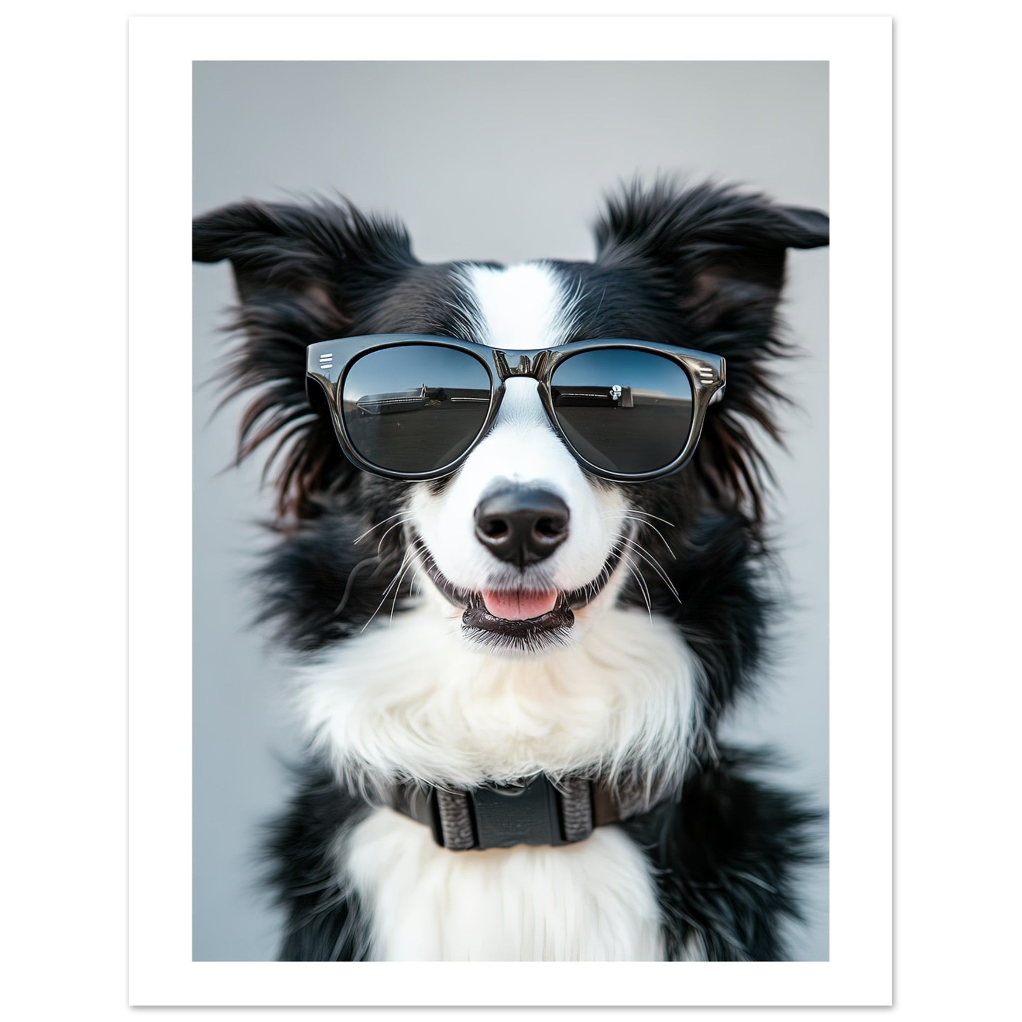 Border Collie Dog Wearing Pilot Sunglasses 1