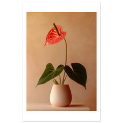 Anthurium 1