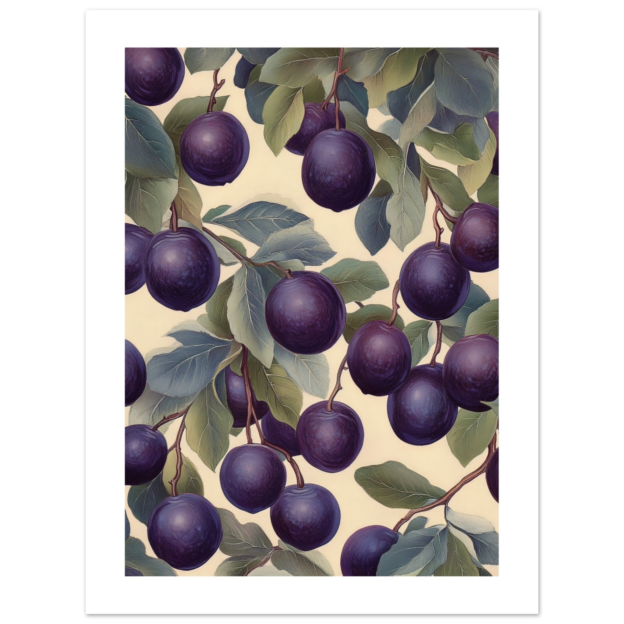 A pattern of Plums 1