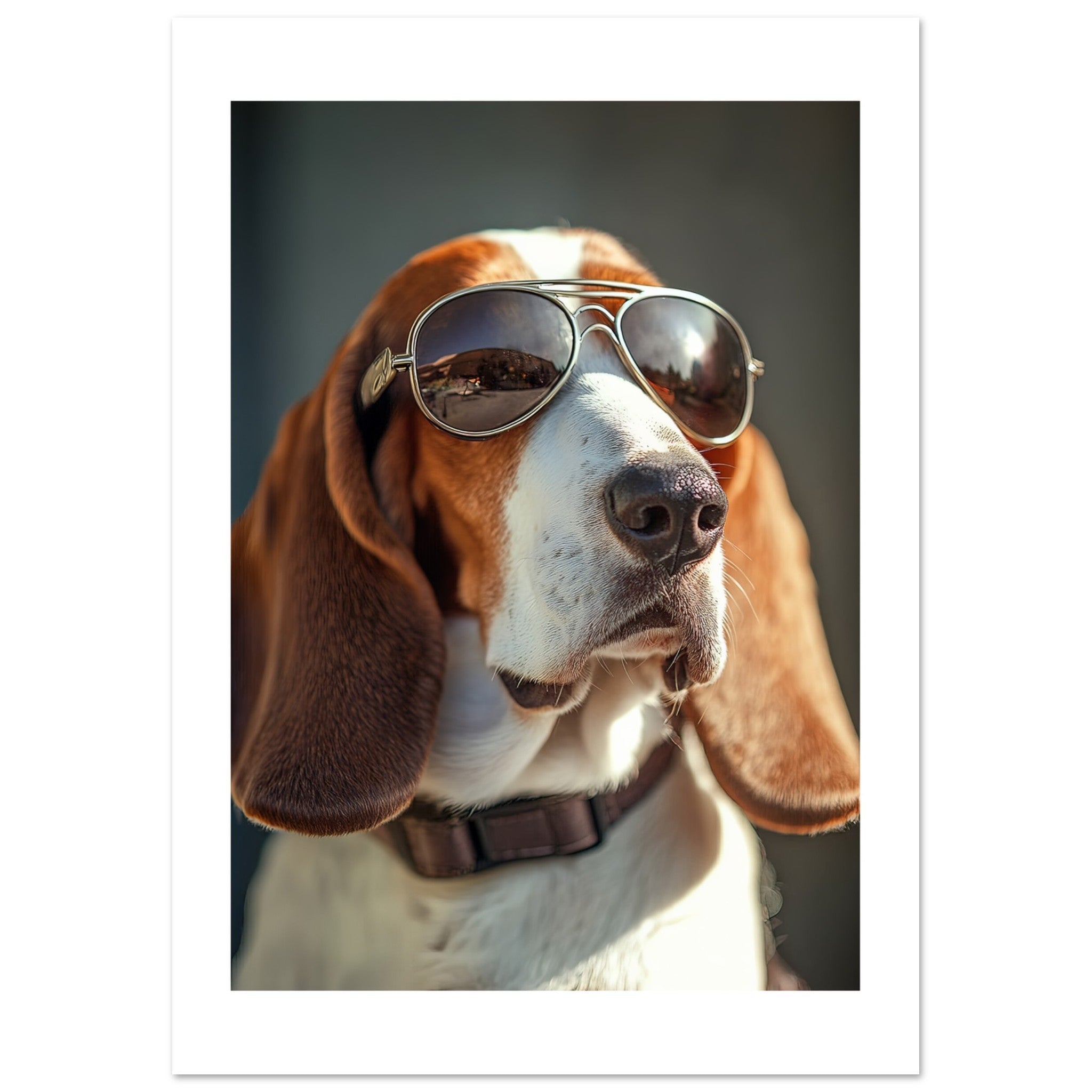 Basset Hound Dog Wearing Pilot Sunglasses 2