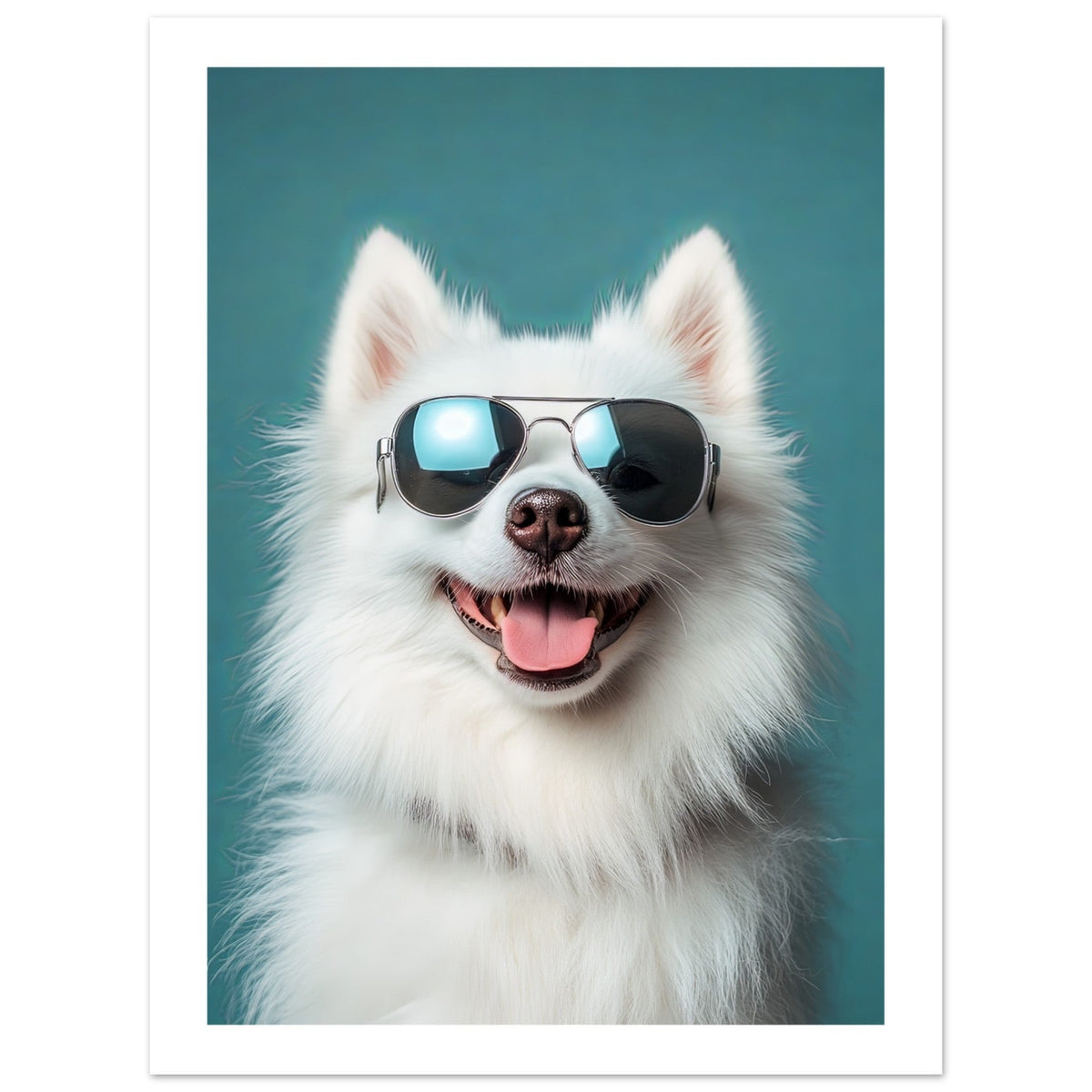 American Eskimo Dog Wearing Pilot Sunglasses