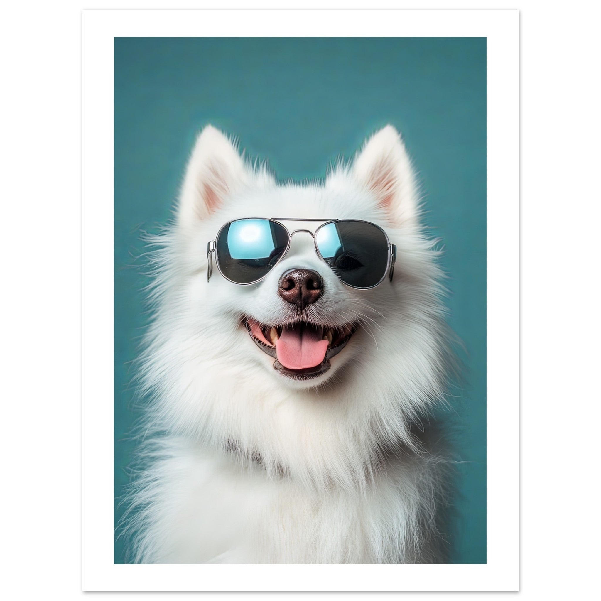 American Eskimo Dog Wearing Pilot Sunglasses