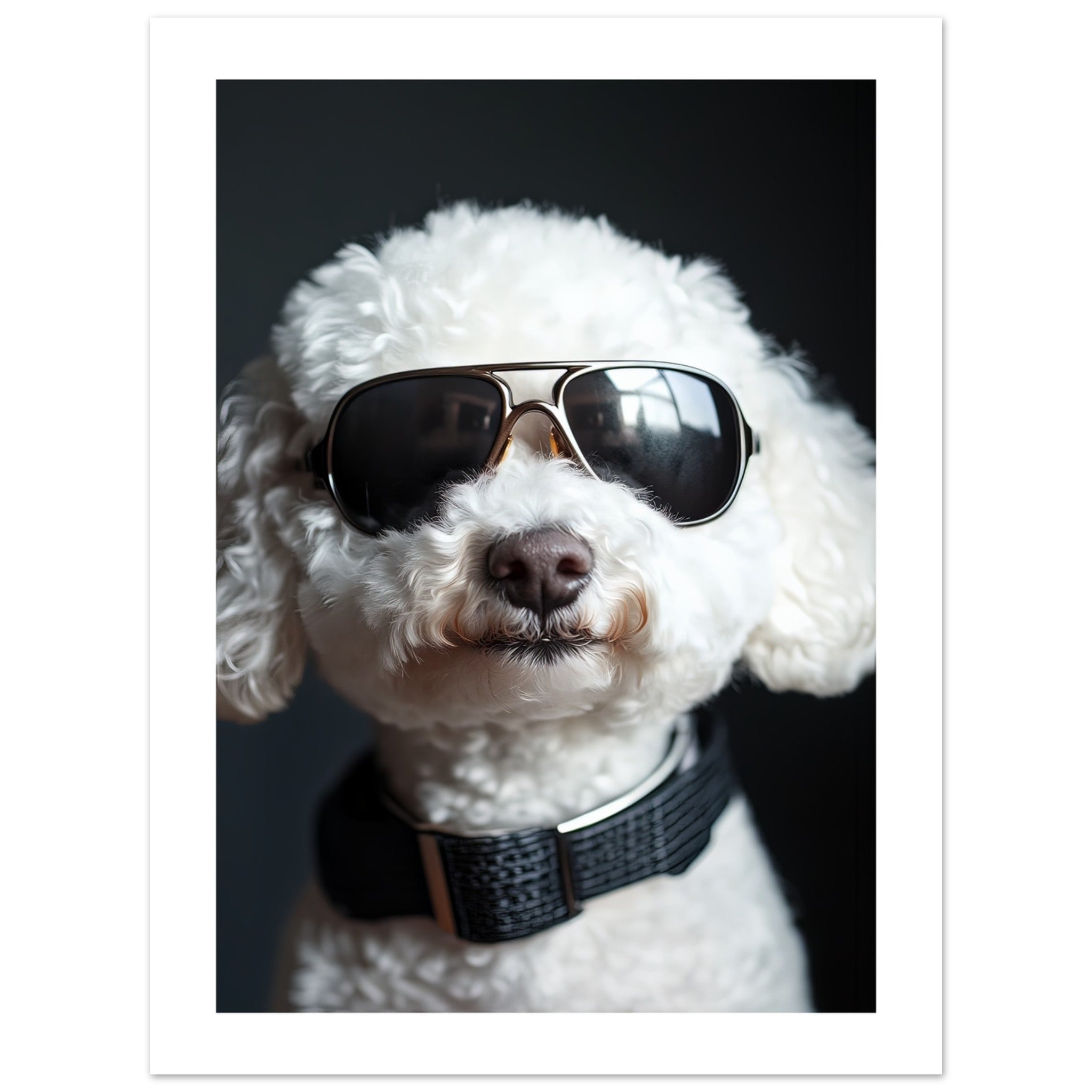 Bichon Frise Dog Wearing Pilot Sunglasses 1