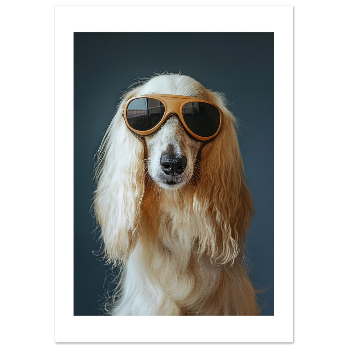 Afghan Hound Dog Wearing Pilot Sunglasses