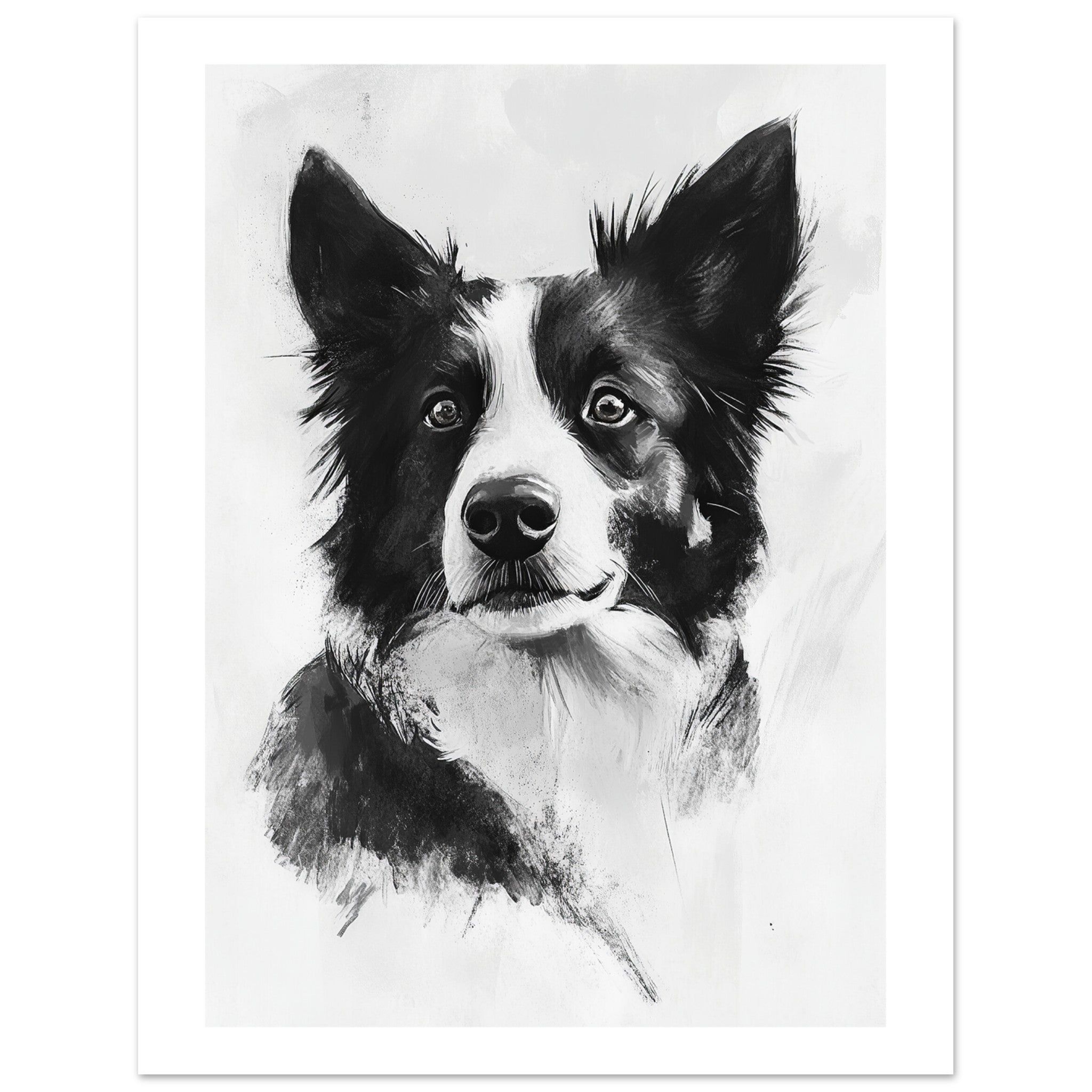 Border Collie Poster / Border Collie Art Work / Border Collie Print