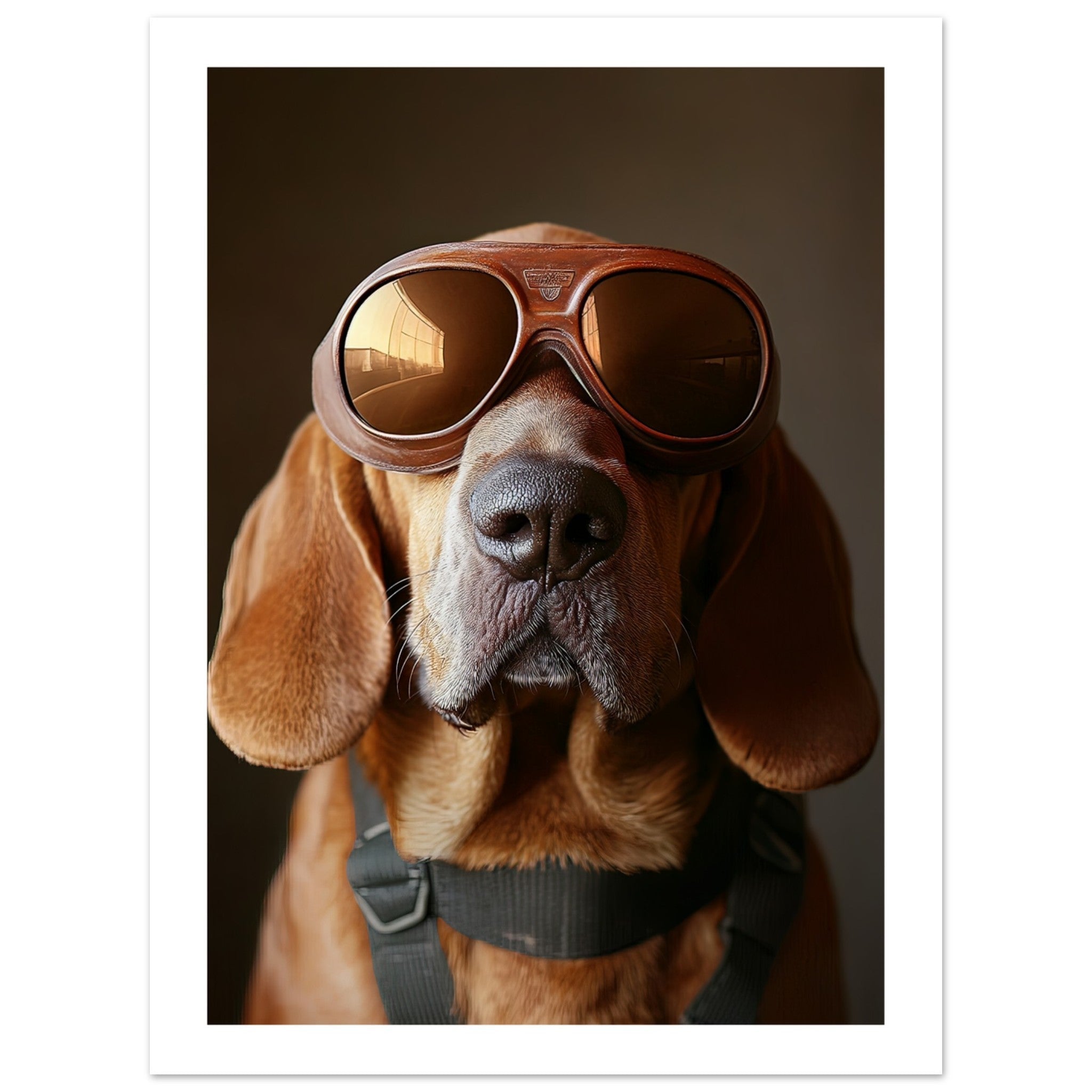 Bloodhound Dog Wearing Pilot Sunglasses 2