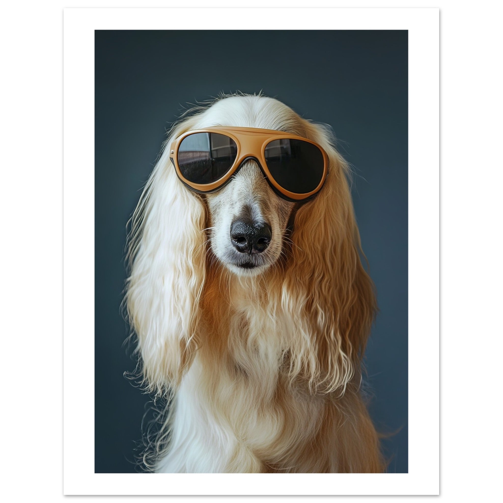 Afghan Hound Dog Wearing Pilot Sunglasses