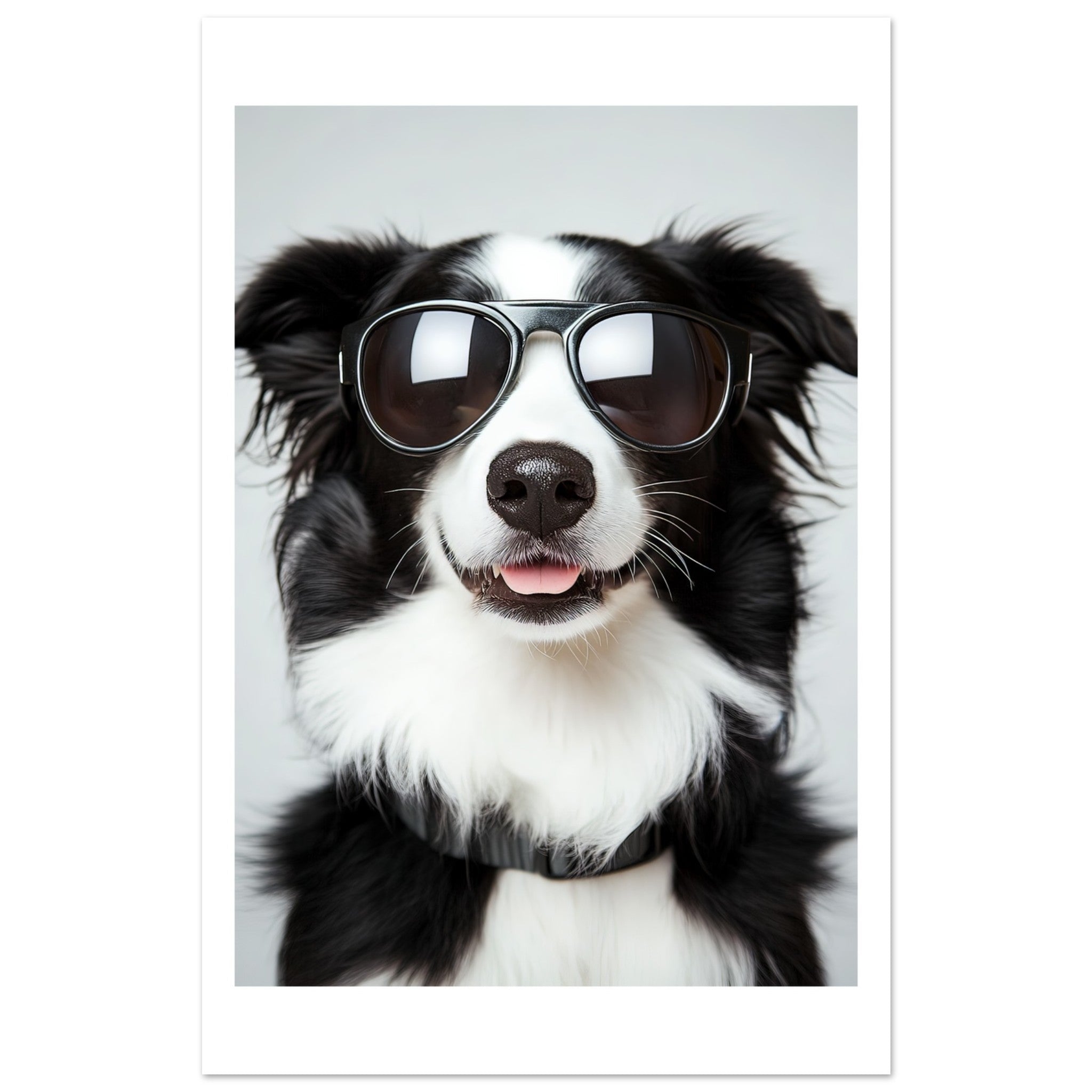 Border Collie Dog Wearing Pilot Sunglasses 3