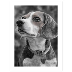 Beagle poster / Beagle Art Work / Beagle Print