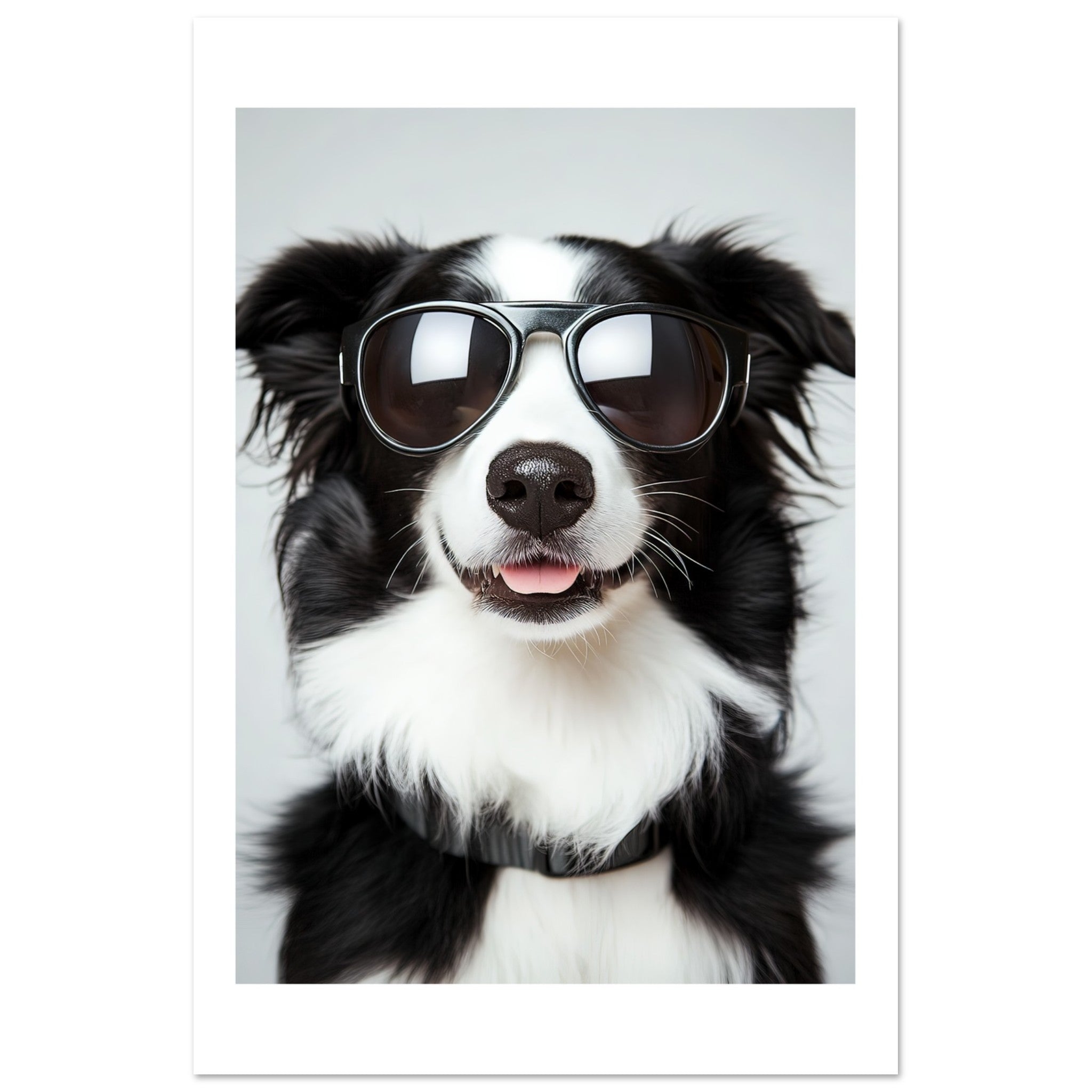 Border Collie Dog Wearing Pilot Sunglasses 3
