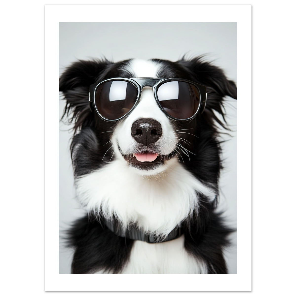 Border Collie Dog Wearing Pilot Sunglasses 3