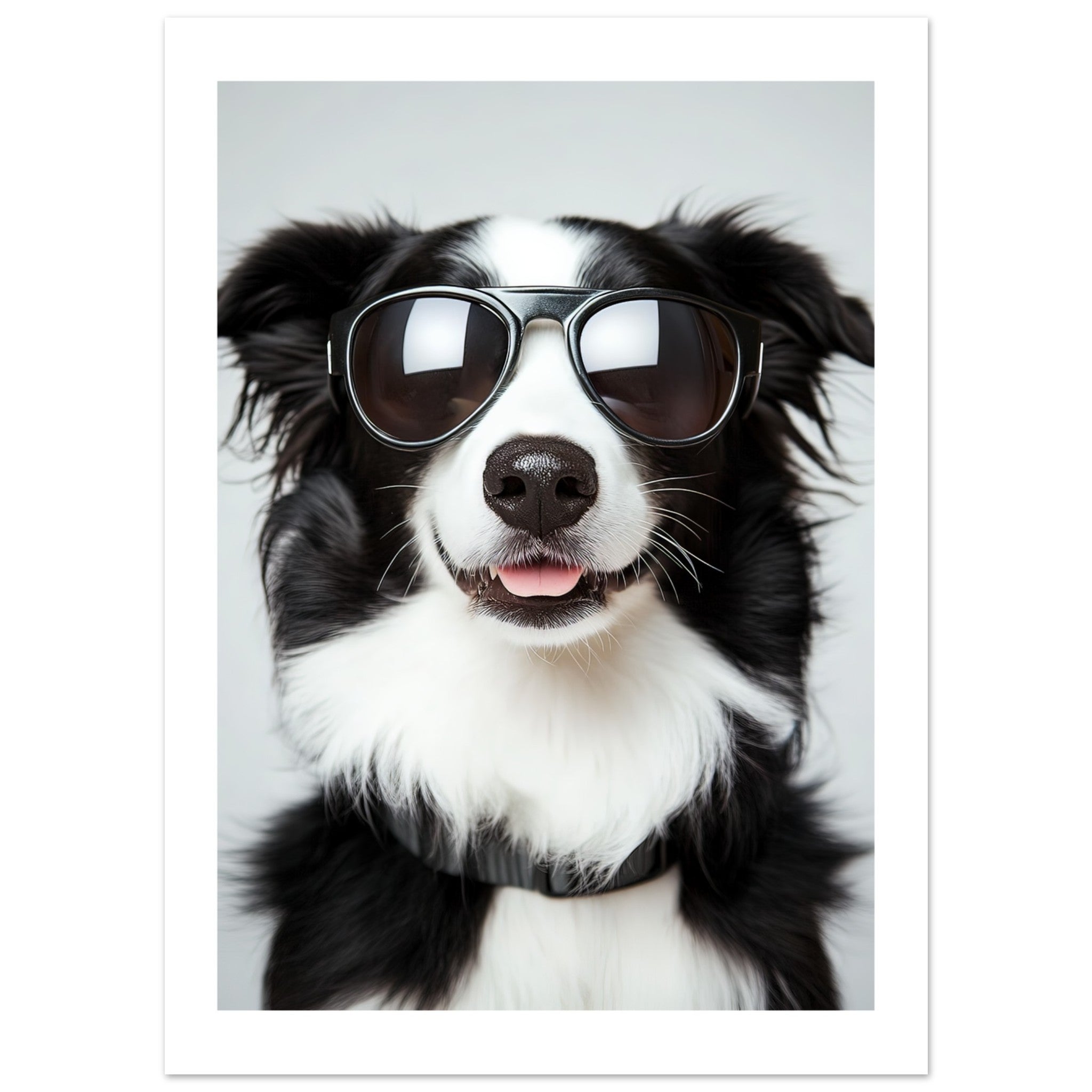 Border Collie Dog Wearing Pilot Sunglasses 3