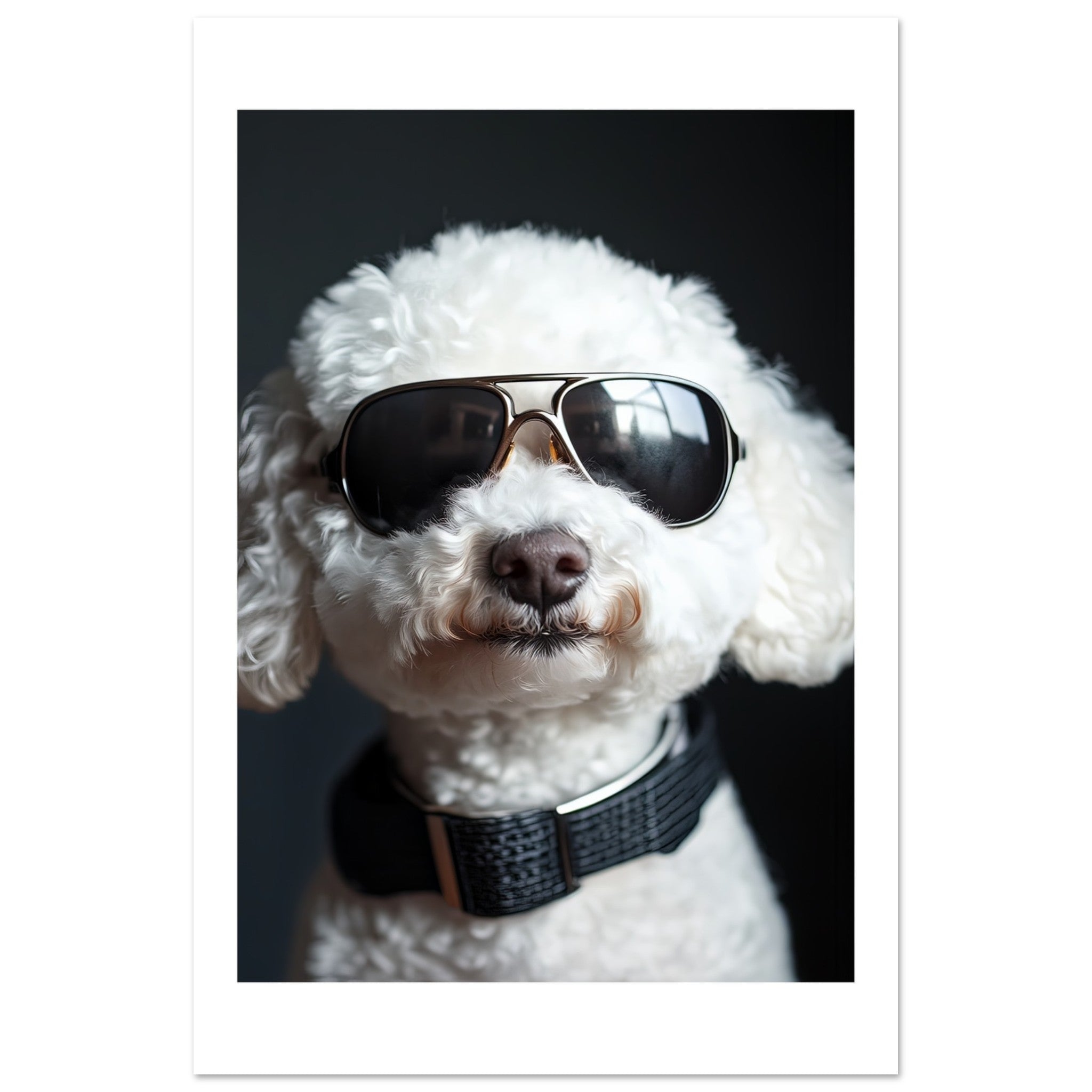 Bichon Frise Dog Wearing Pilot Sunglasses 1