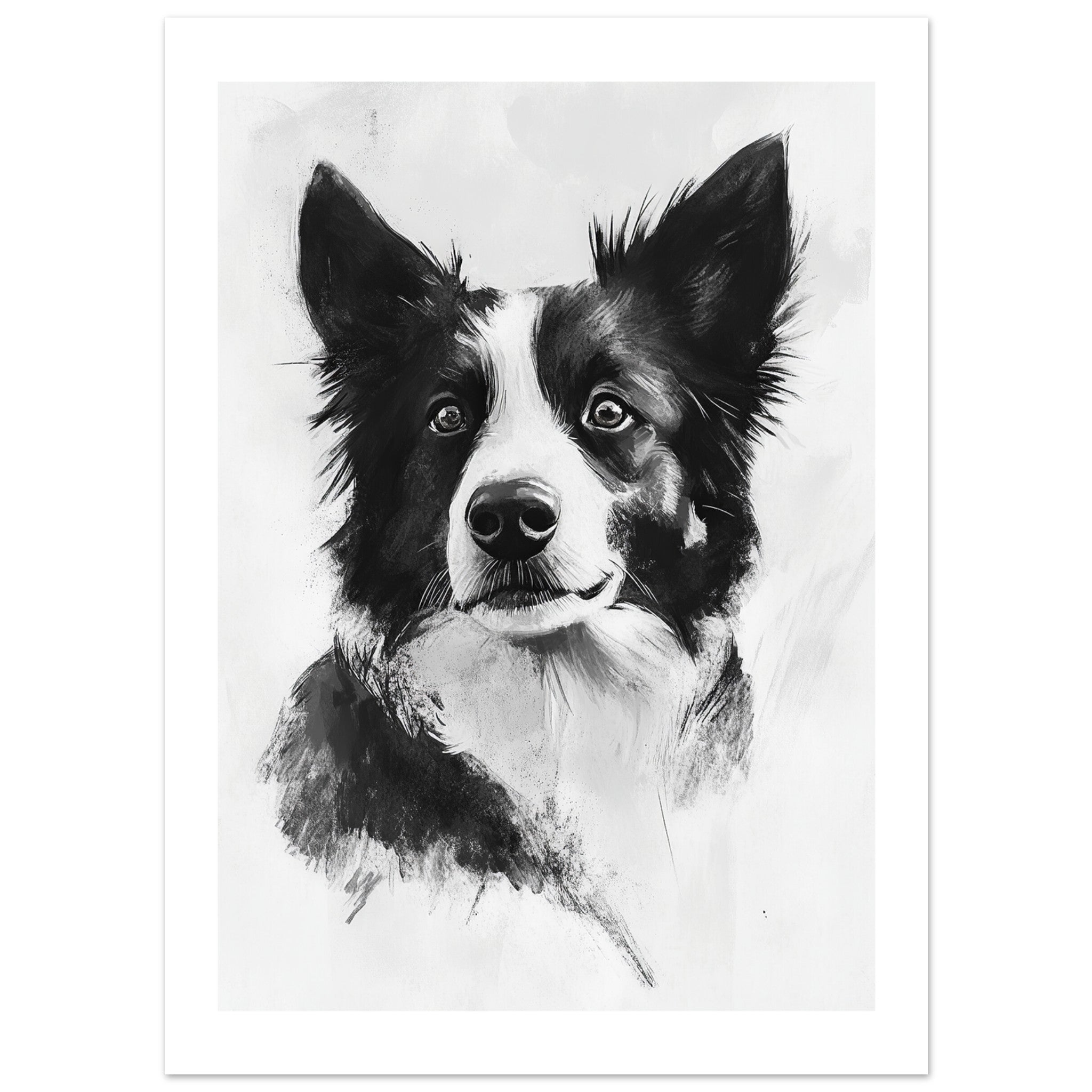 Border Collie Poster / Border Collie Art Work / Border Collie Print