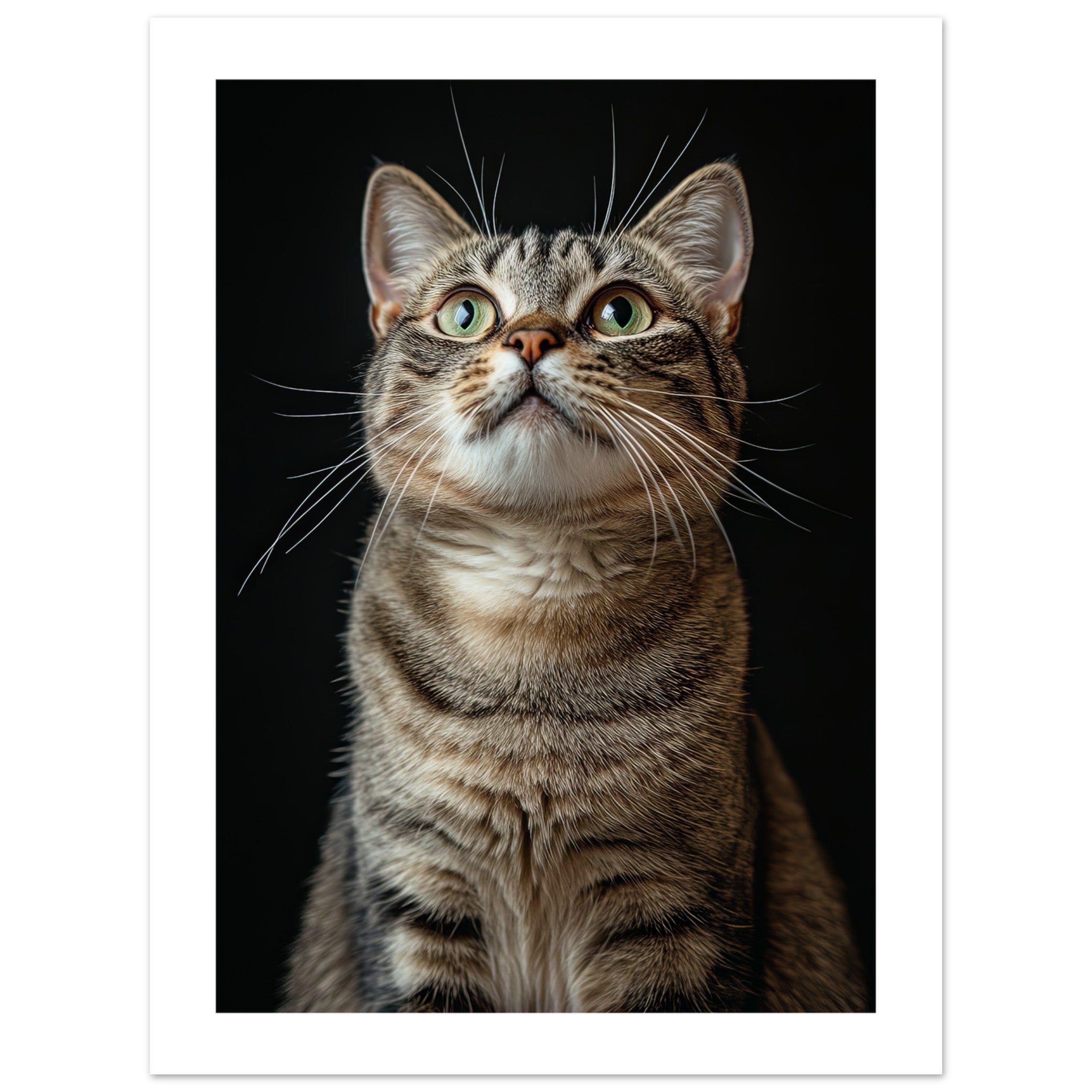 American Shorthair Cat Painted With Tone Pen 1