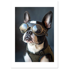 Boston Terrier Dog Wearing Pilot Sunglasses