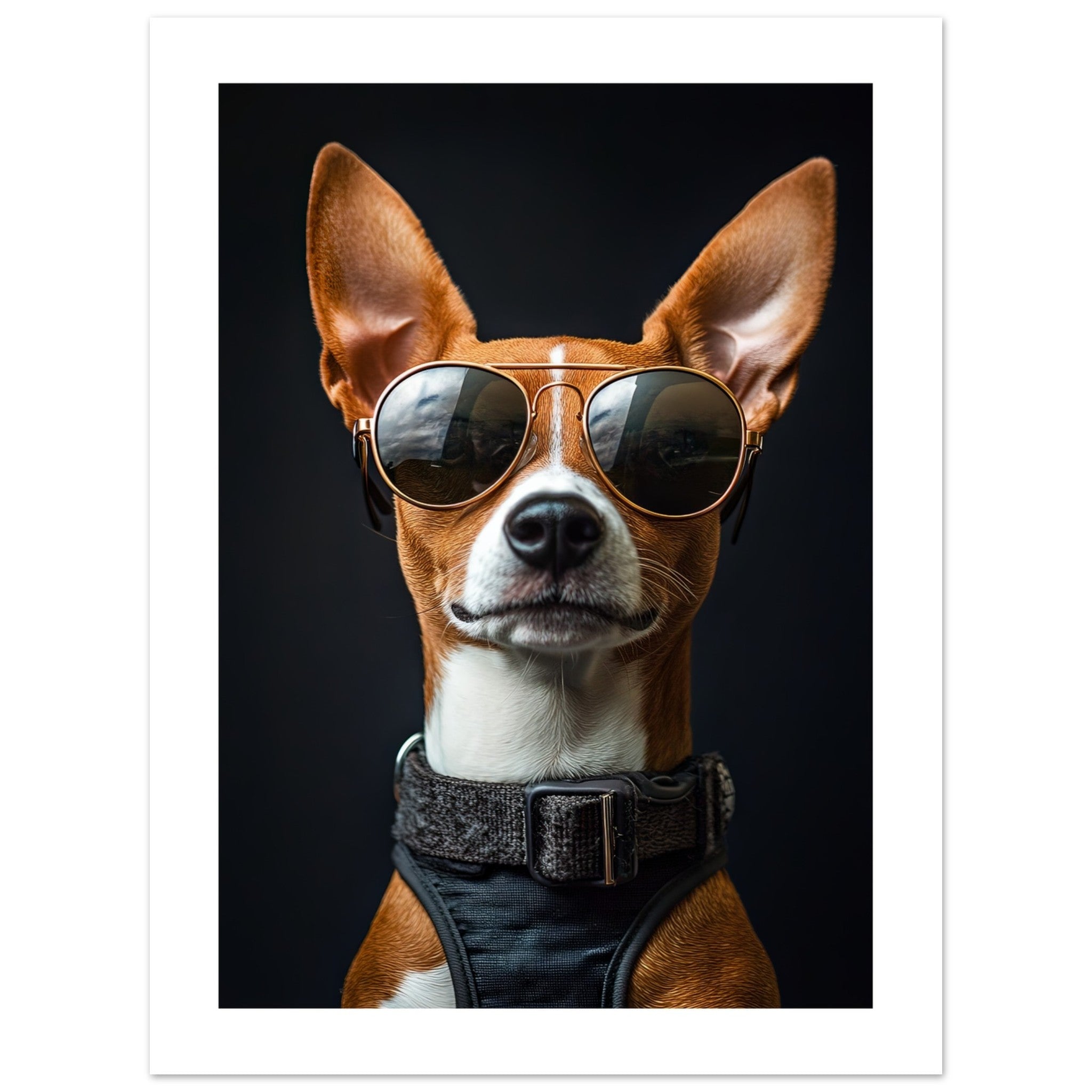 Basenji Dog Wearing Pilot Sunglasses