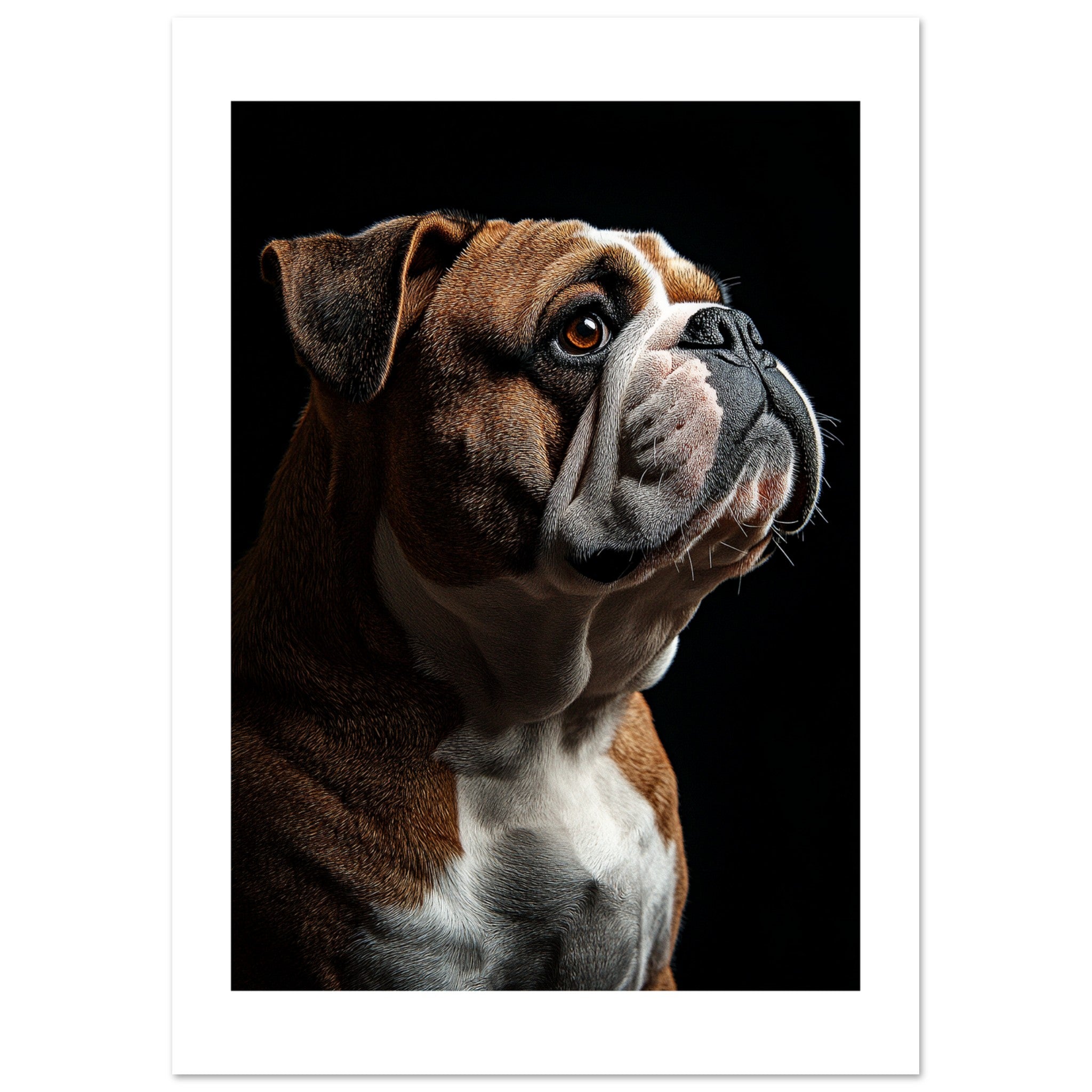 Bulldog Poster / Bulldog Art Work / Bulldog Print
