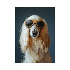 Afghan Hound Dog Wearing Pilot Sunglasses
