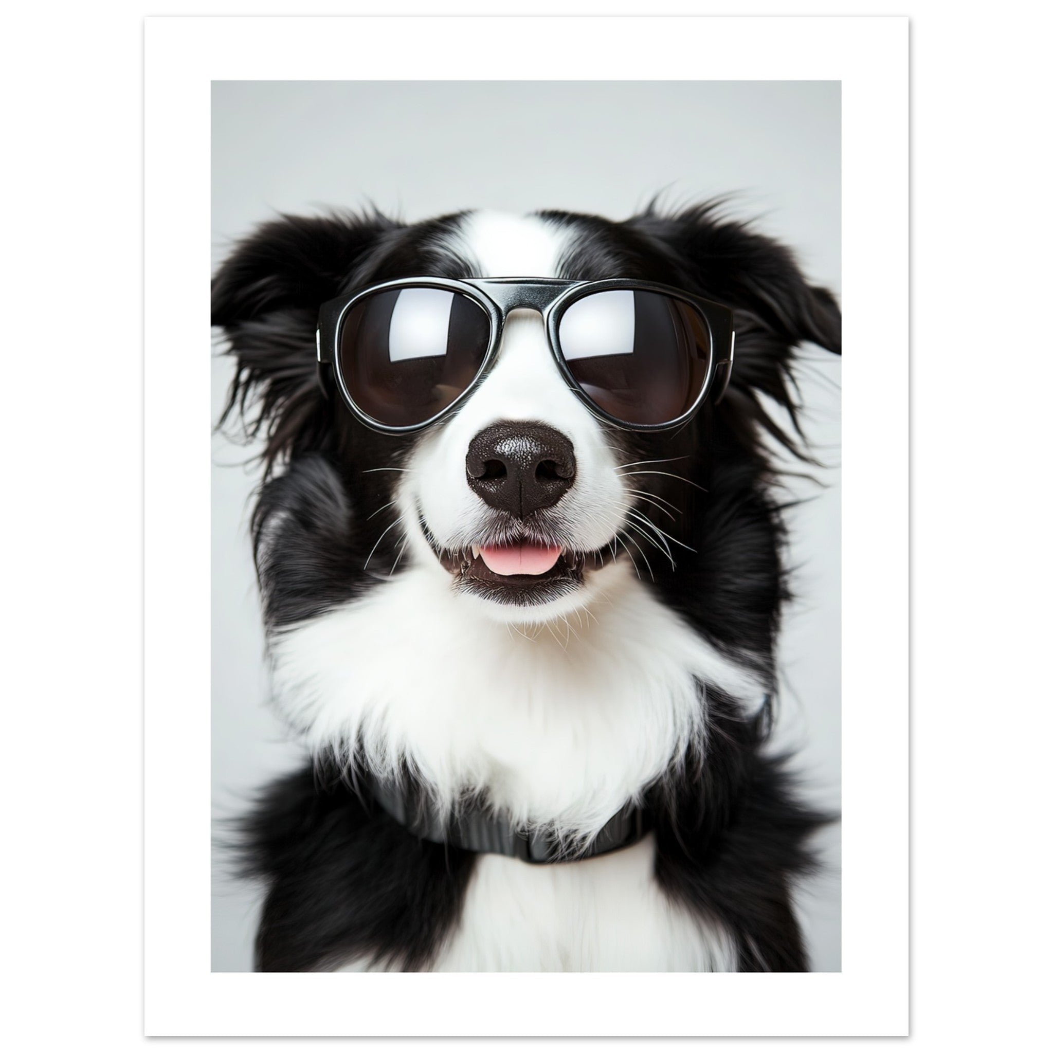 Border Collie Dog Wearing Pilot Sunglasses 3