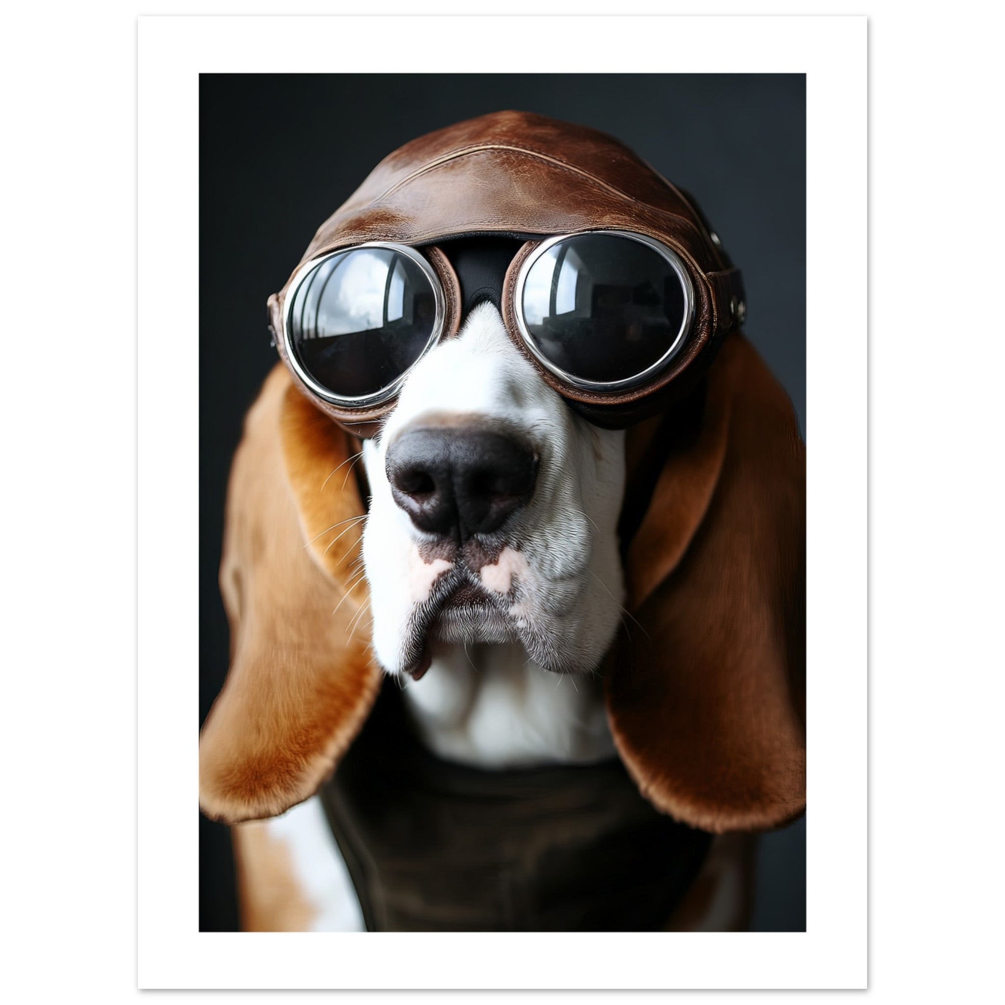 Basset Hound Dog Wearing Pilot Sunglasses