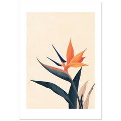 Bird of Paradise Strelitzia reginae 1