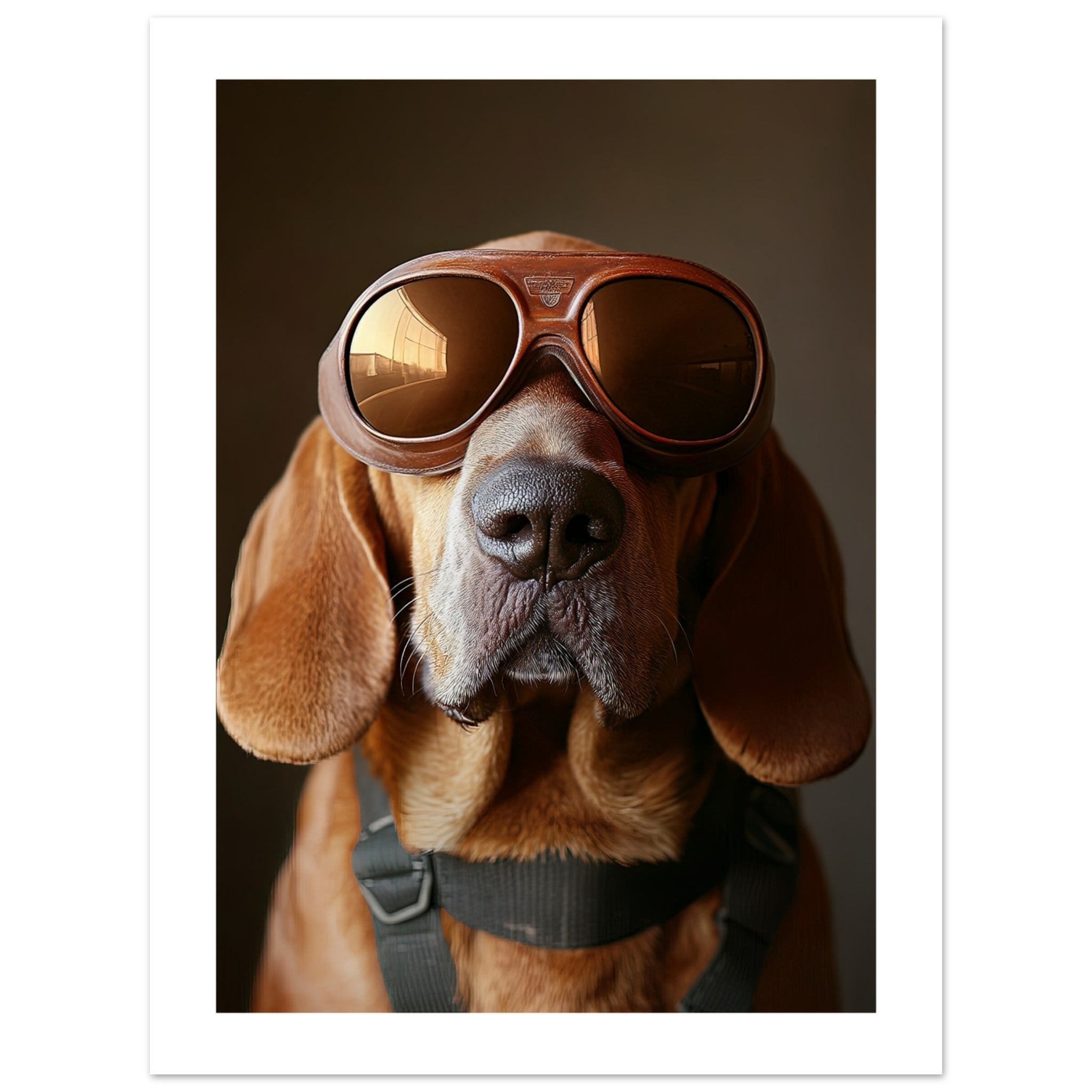 Bloodhound Dog Wearing Pilot Sunglasses 2