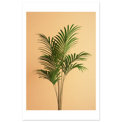 Areca Palm Dypsis lutescens 1