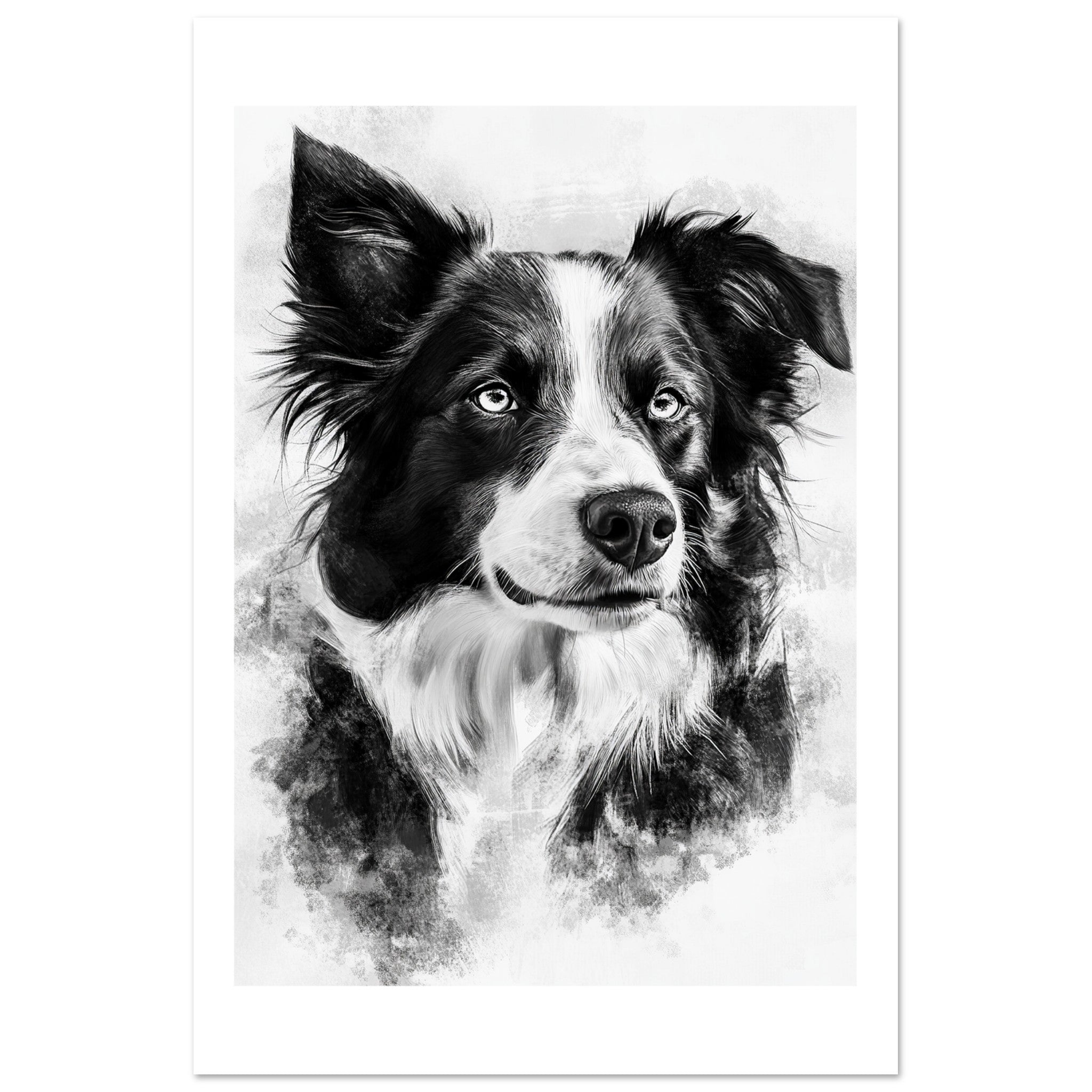 Border Collie Poster / Border Collie Art Work / Border Collie Print