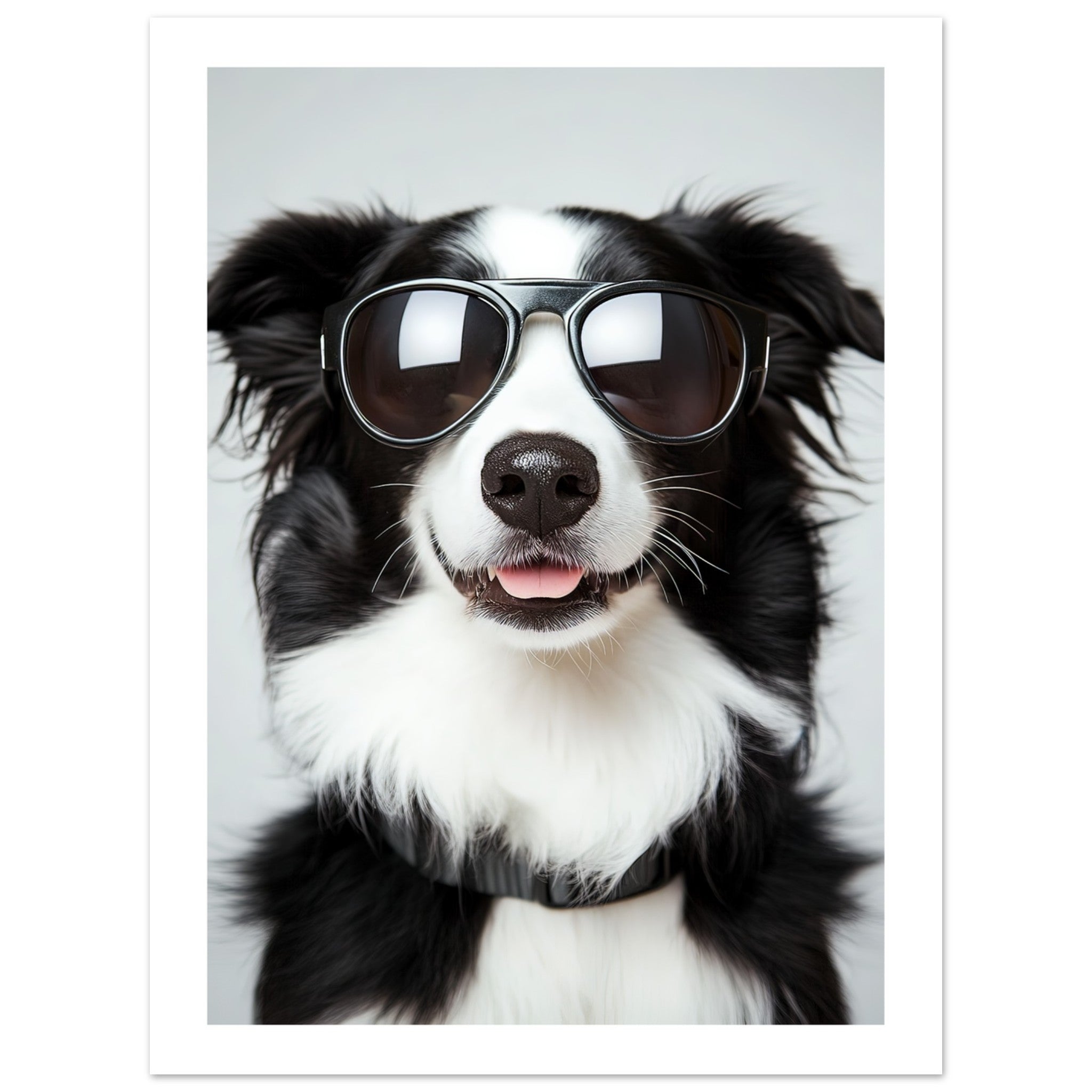 Border Collie Dog Wearing Pilot Sunglasses 3