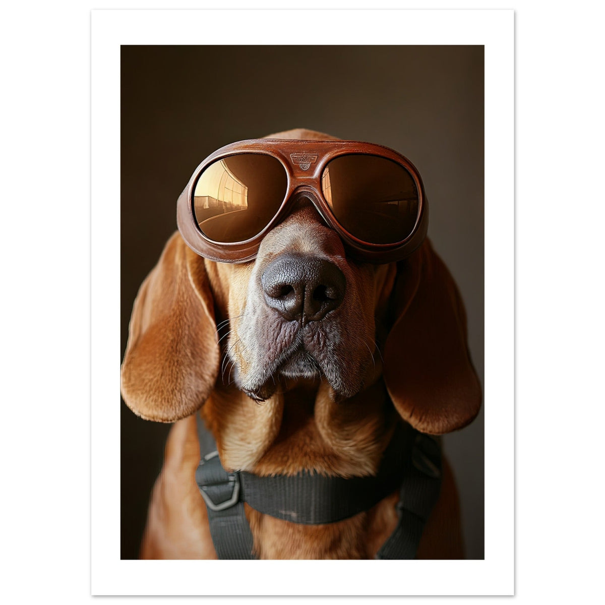 Bloodhound Dog Wearing Pilot Sunglasses 2