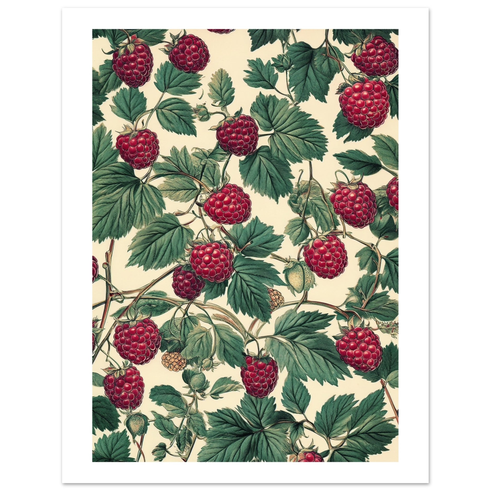 A pattern of Rasberries 1
