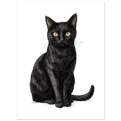 Bombay Cat Painted With Tone Pen