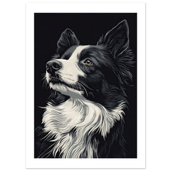Border Collie Poster / Border Collie Art Work / Border Collie Print