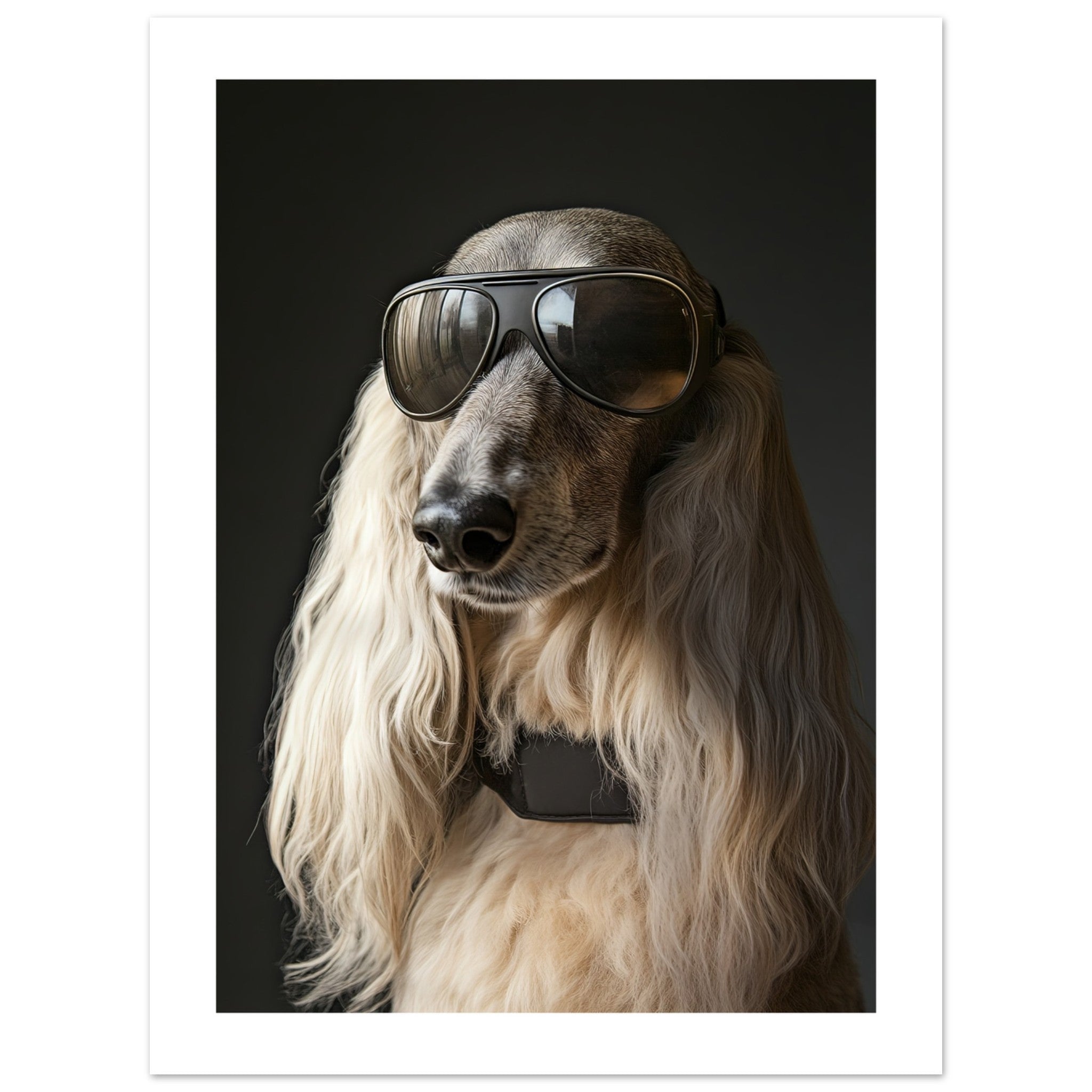 Afghan Hound Dog Wearing Pilot Sunglasses 1
