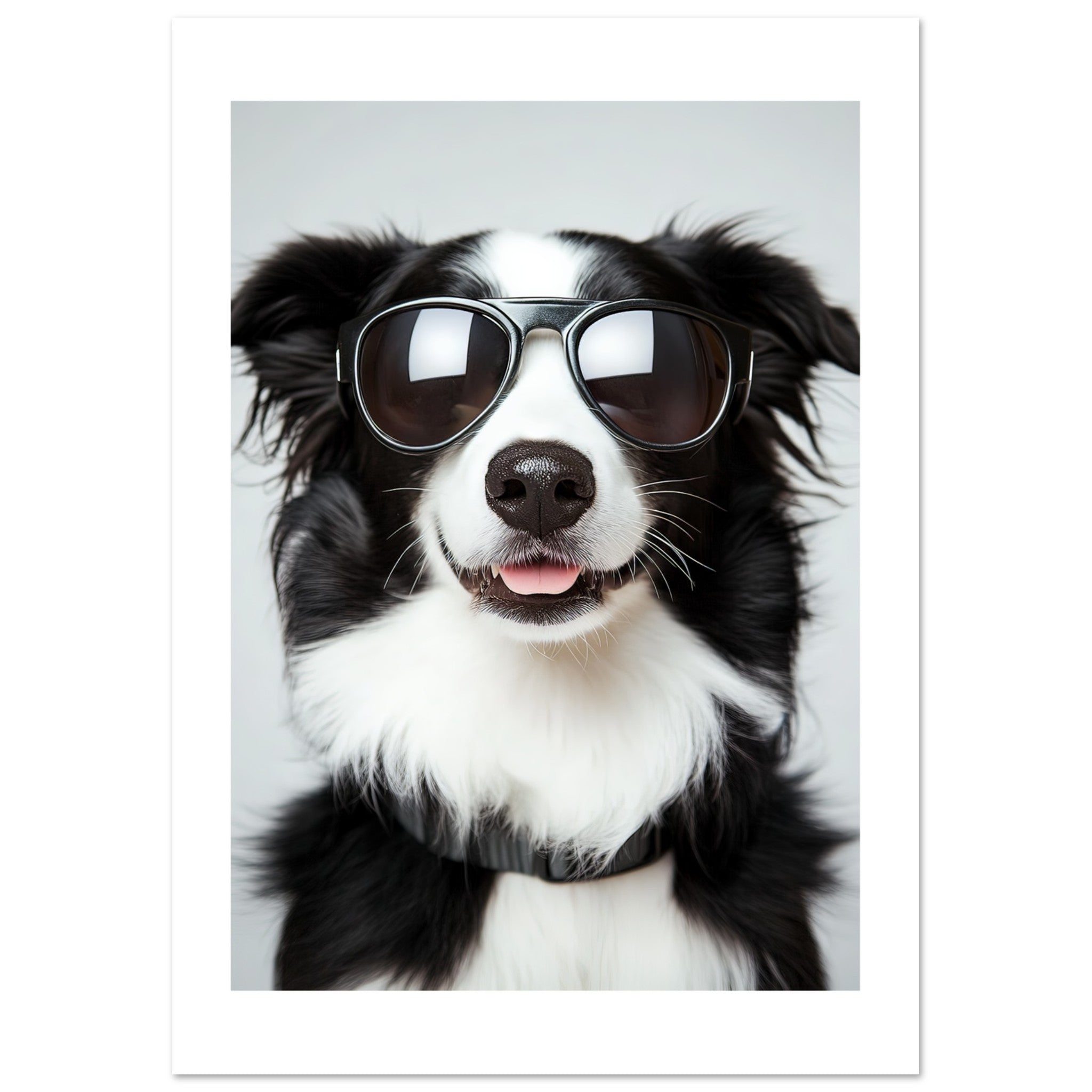 Border Collie Dog Wearing Pilot Sunglasses 3