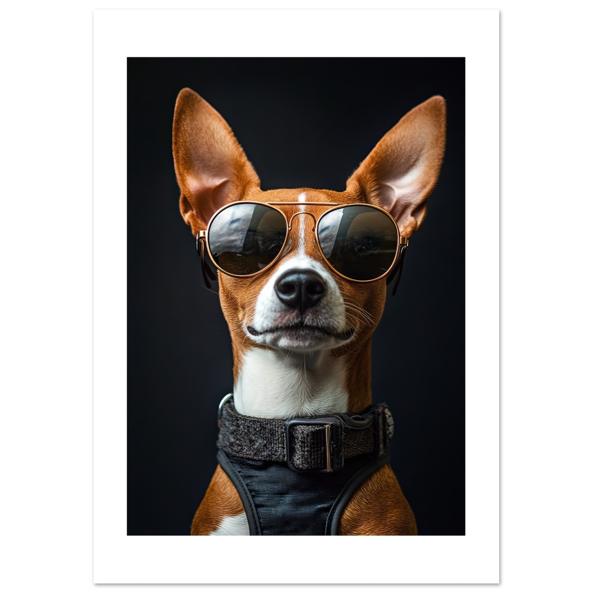 Basenji Dog Wearing Pilot Sunglasses