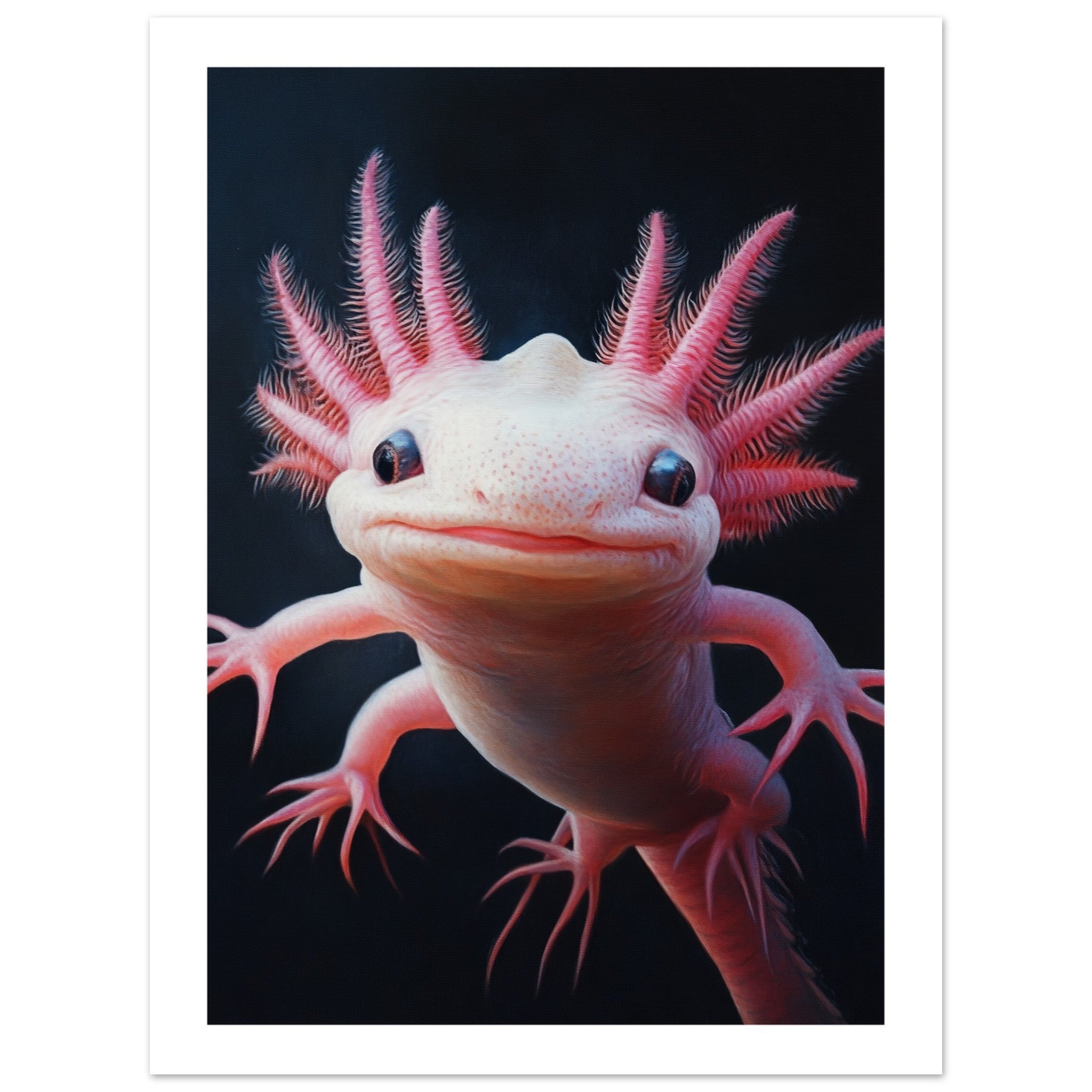 Axolotl portrait 1