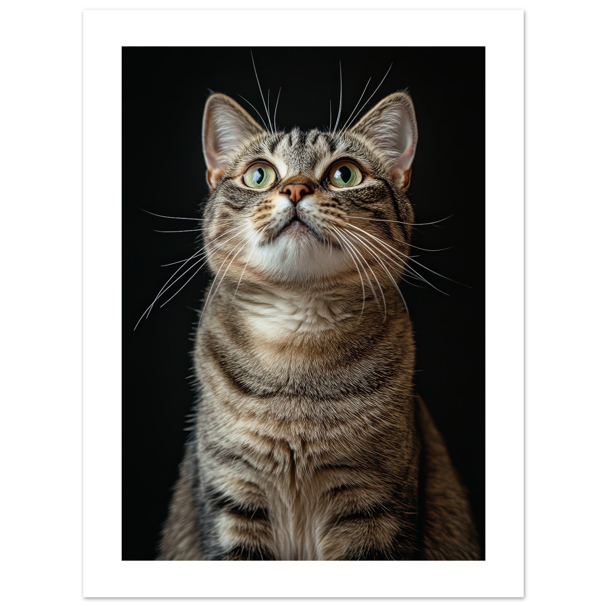 American Shorthair Cat Painted With Tone Pen 1