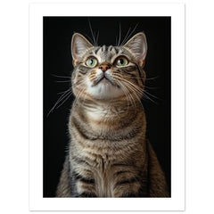 American Shorthair Cat Painted With Tone Pen 1